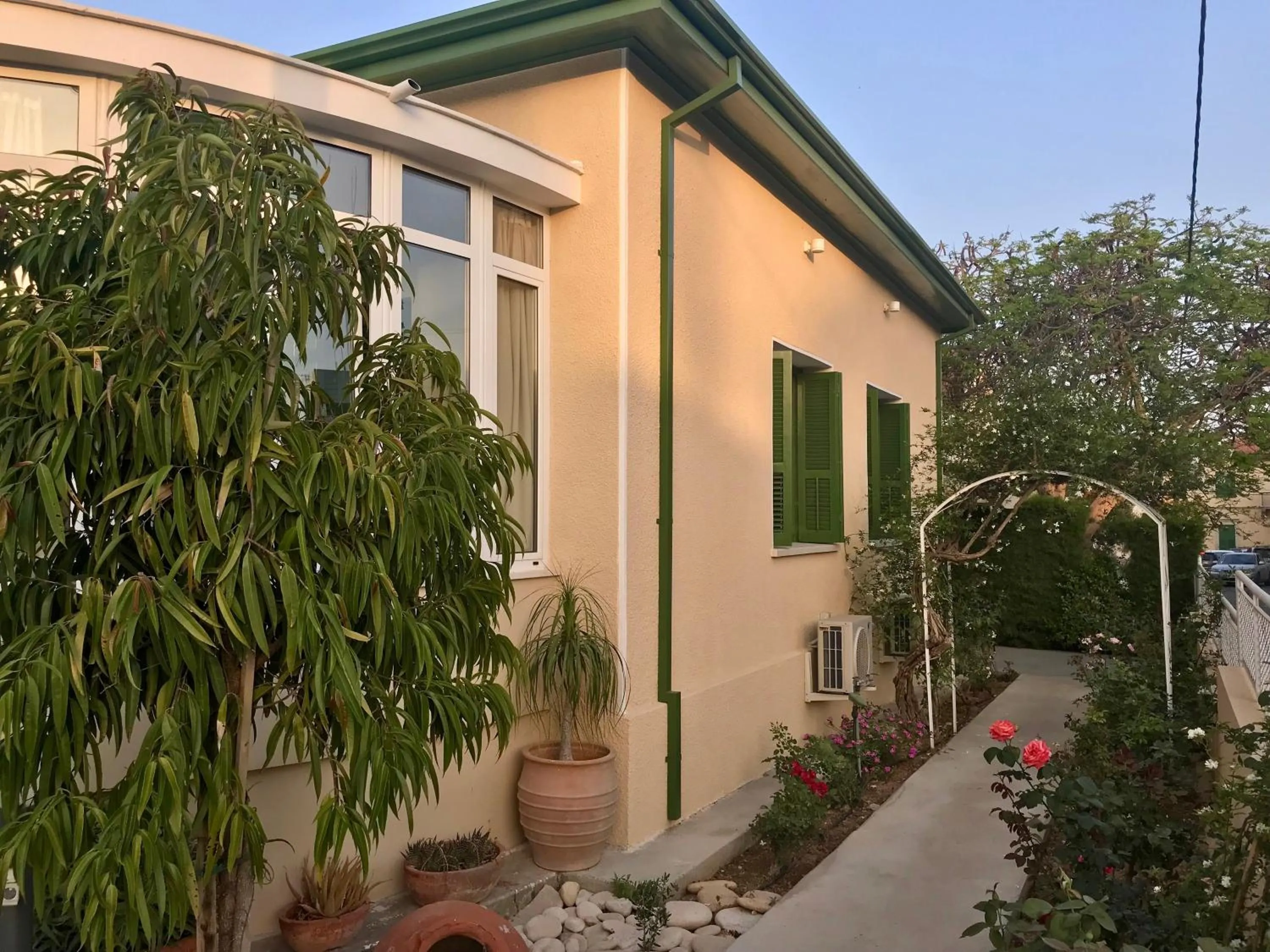 Garden in Avgi's Home