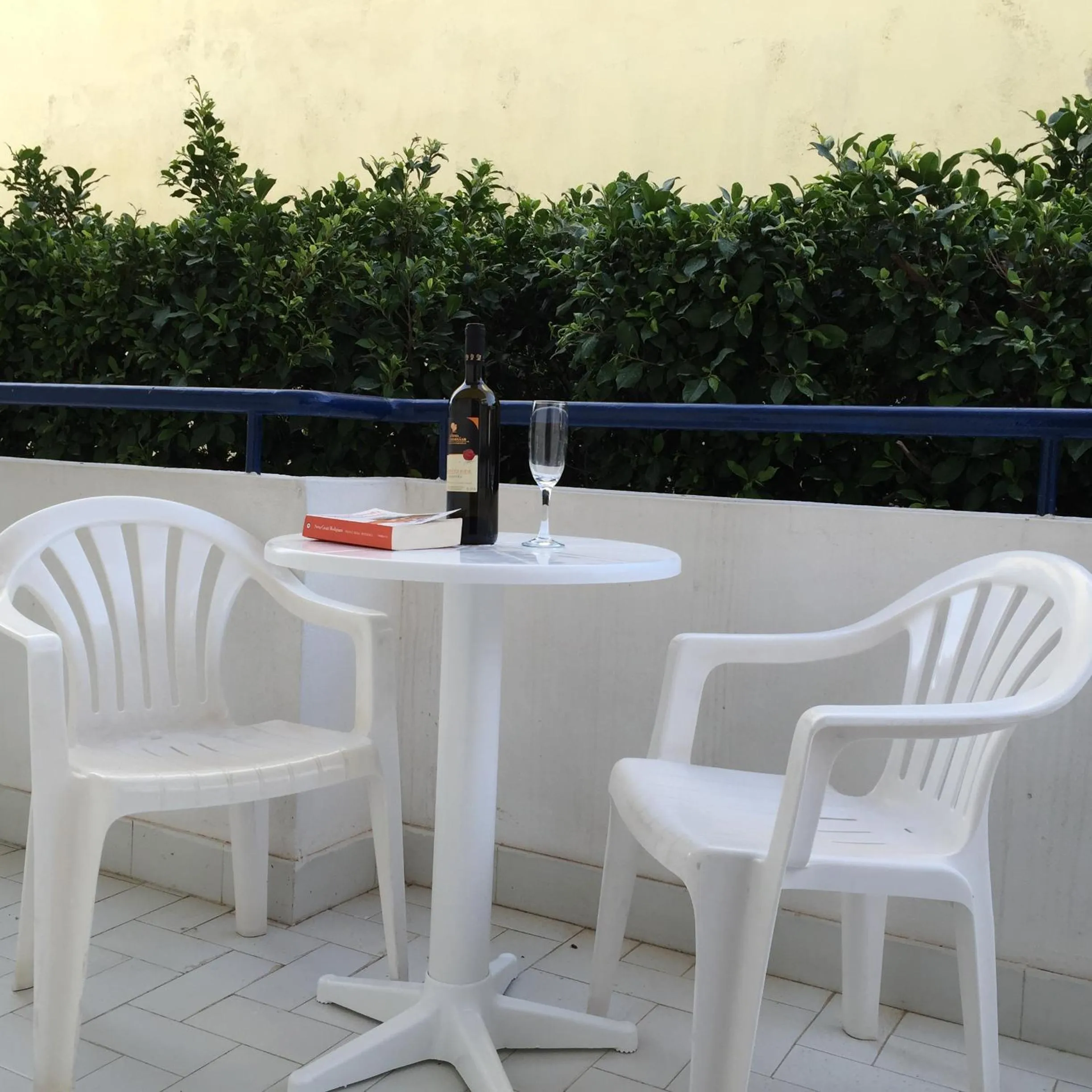 Balcony/Terrace in Blue Roses