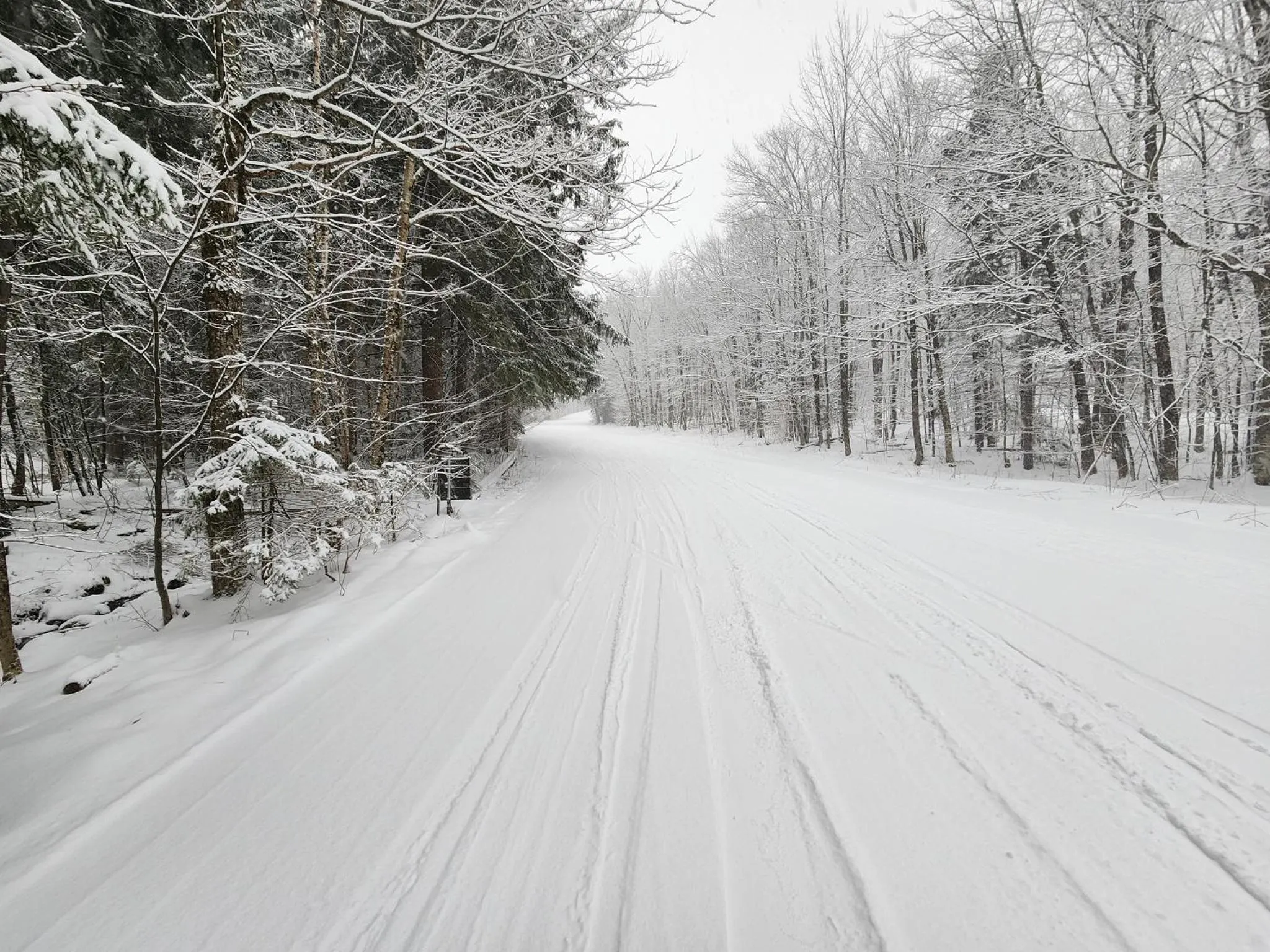 Skiing in Ski in/out Spruce Glen Townhomes on Great Eastern Trail