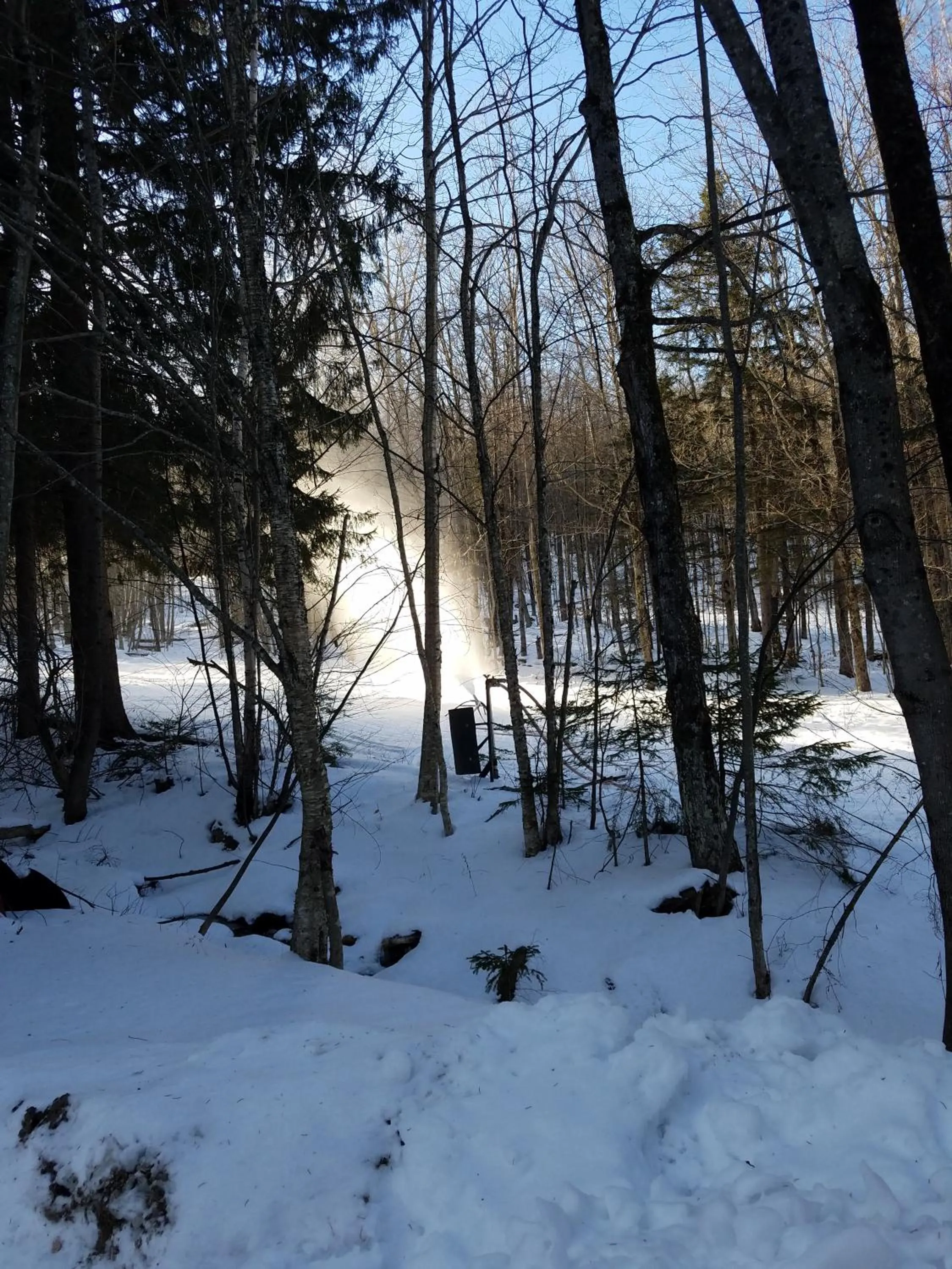 Winter in Ski in/out Spruce Glen Townhomes on Great Eastern Trail