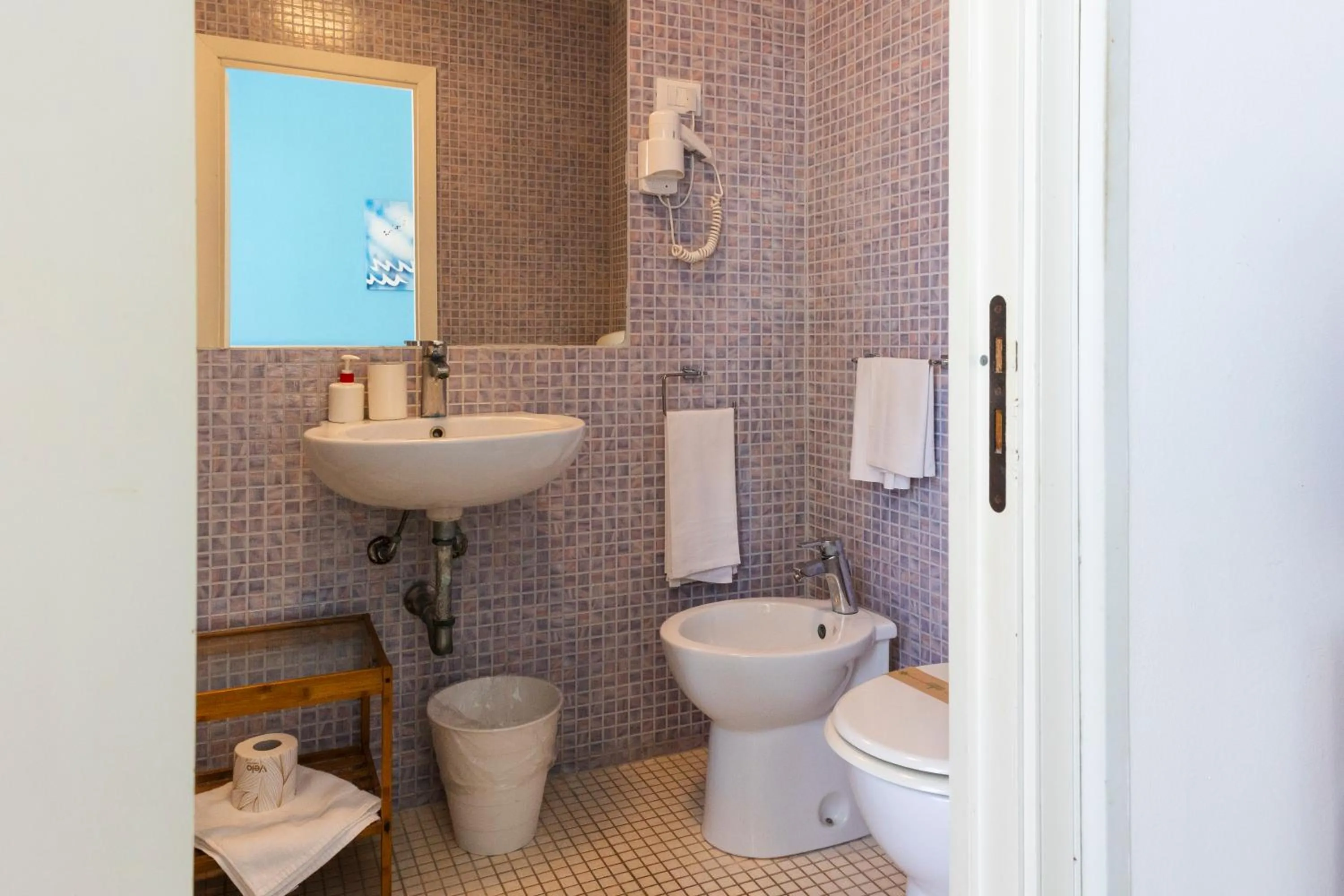 Toilet in Hotel Baia Del Sole