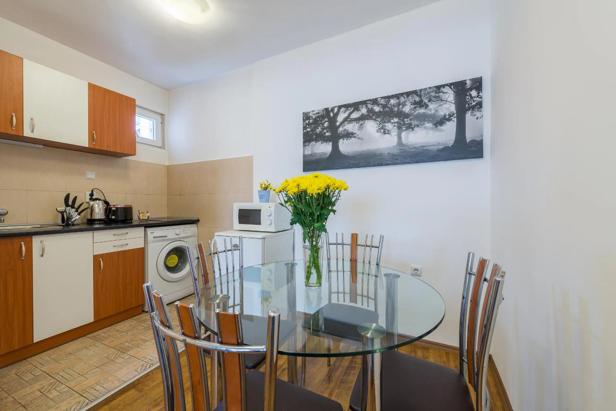 Kitchen or kitchenette in Sofia Central Hotel Apartments