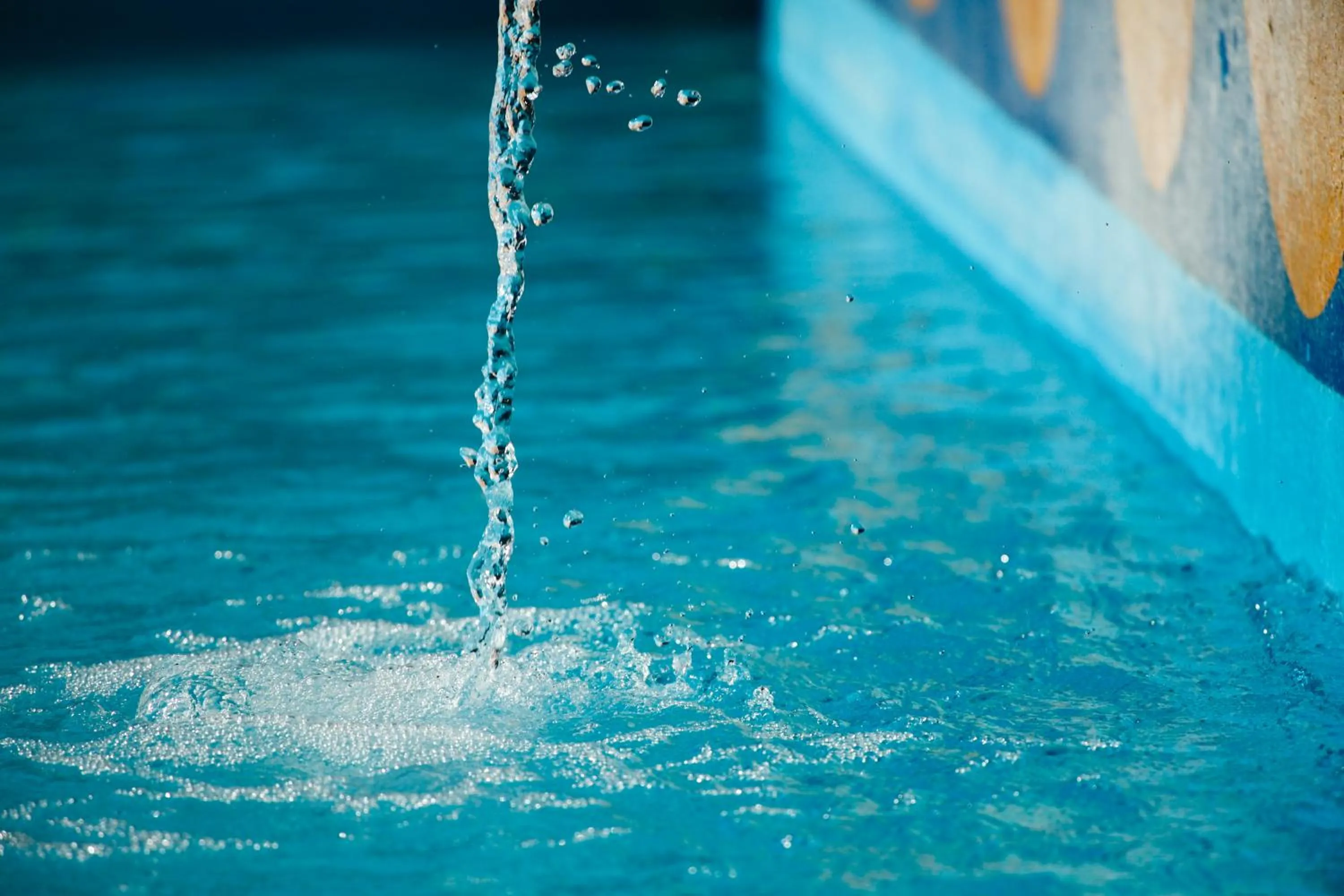 Garden in Hotel Luci Del Faro