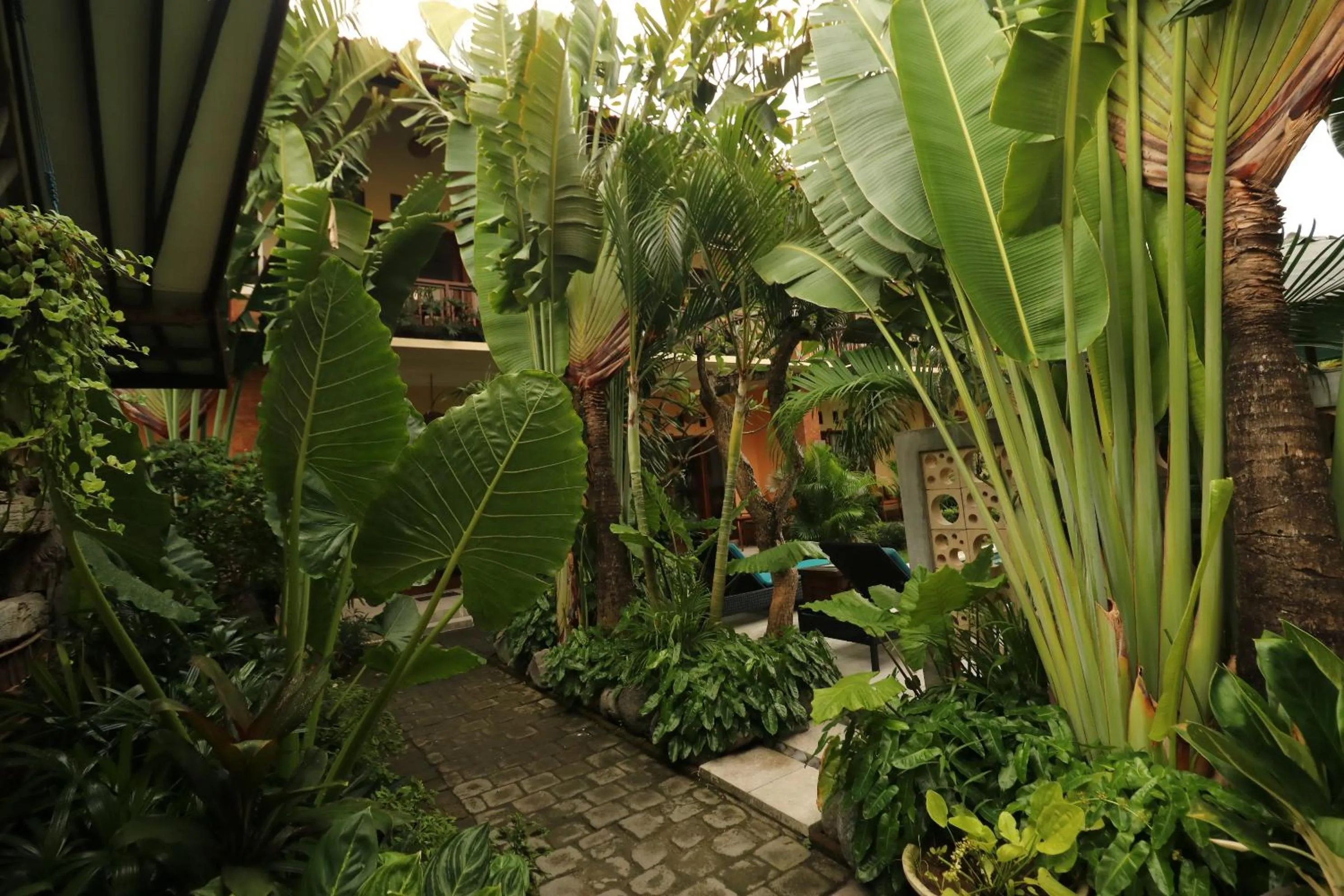 Garden in Mina Pelasa Hotel