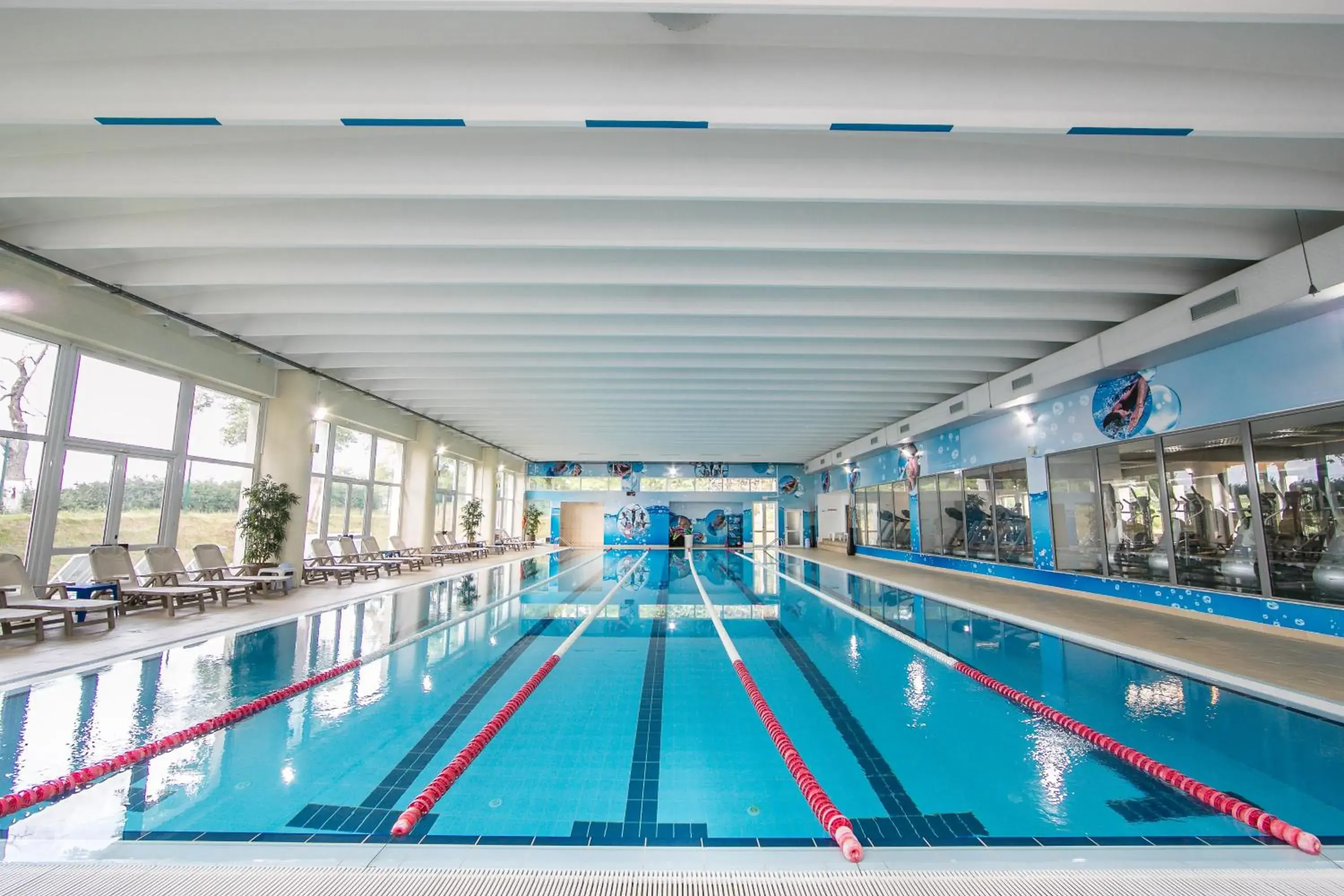 Spa and wellness centre/facilities in Hotel Belvedere Spa and wellness centre/facilities in Hotel Belvedere