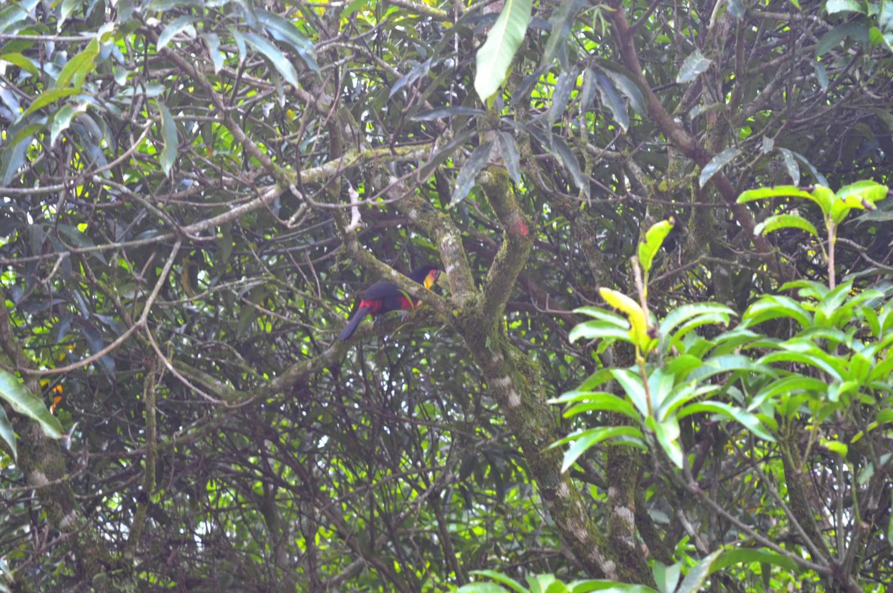 Other in Aconchegos Ile de France