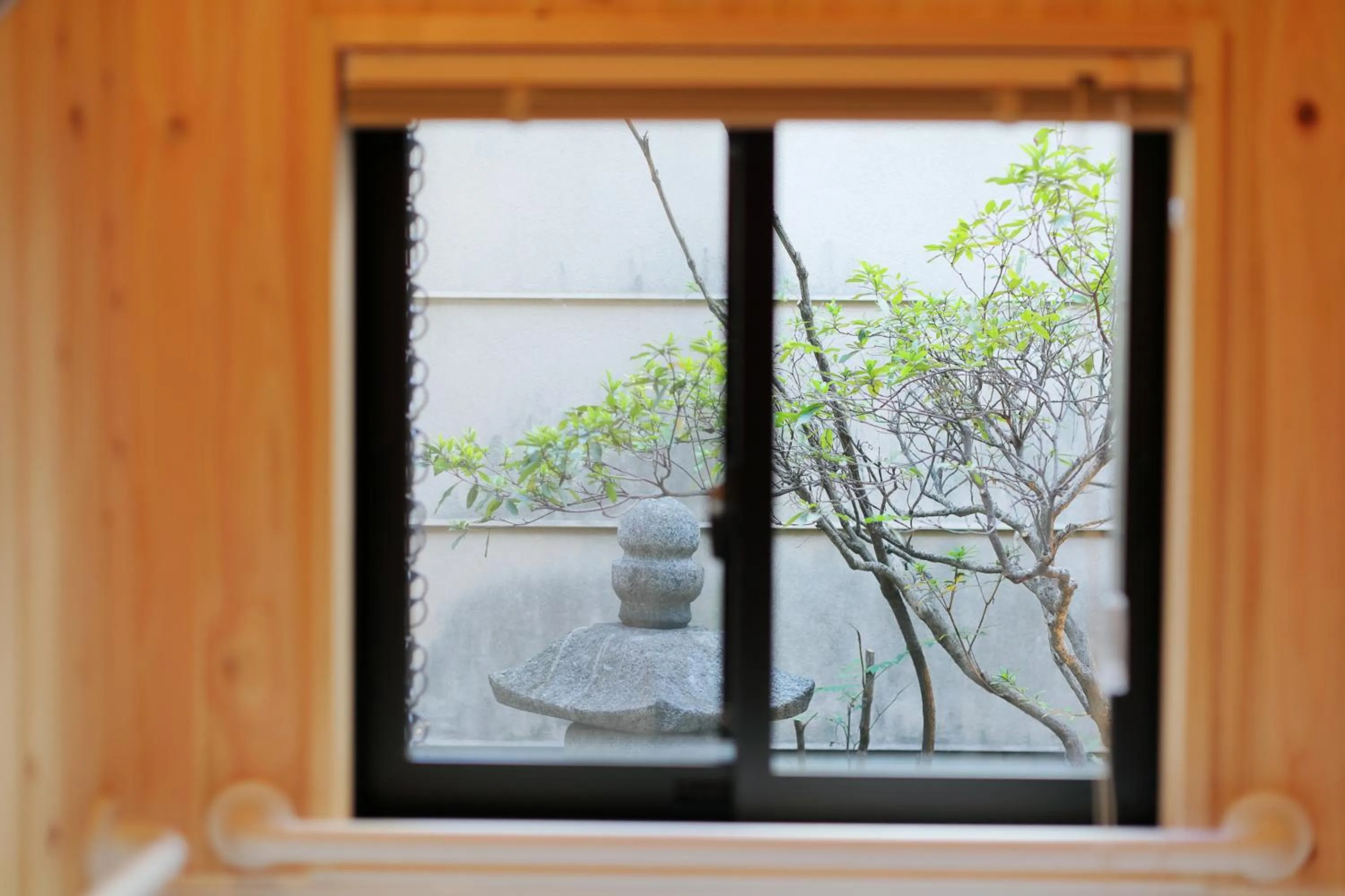 Garden view in Ryokan Tanoya
