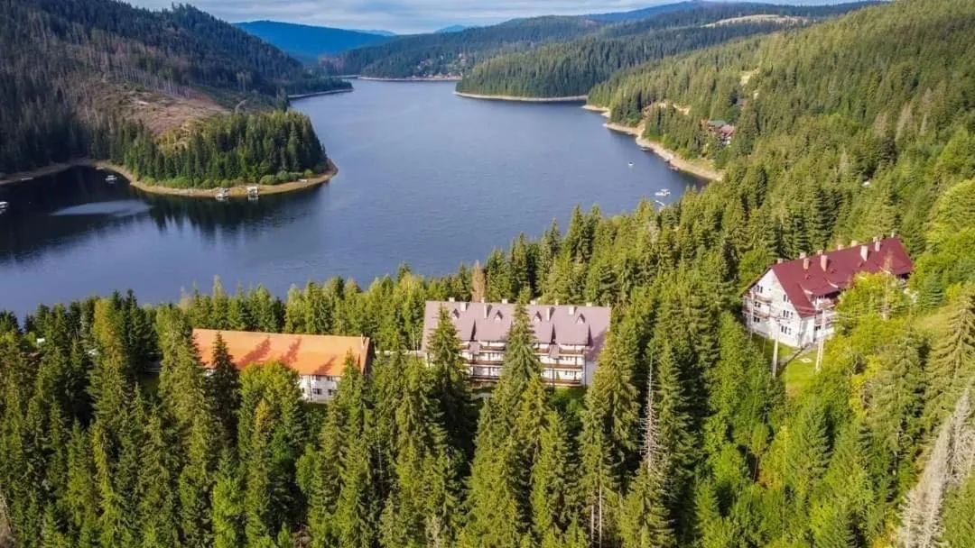 Natural landscape in Hotel Bianca