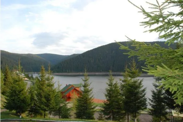 Area and facilities in Hotel Bianca