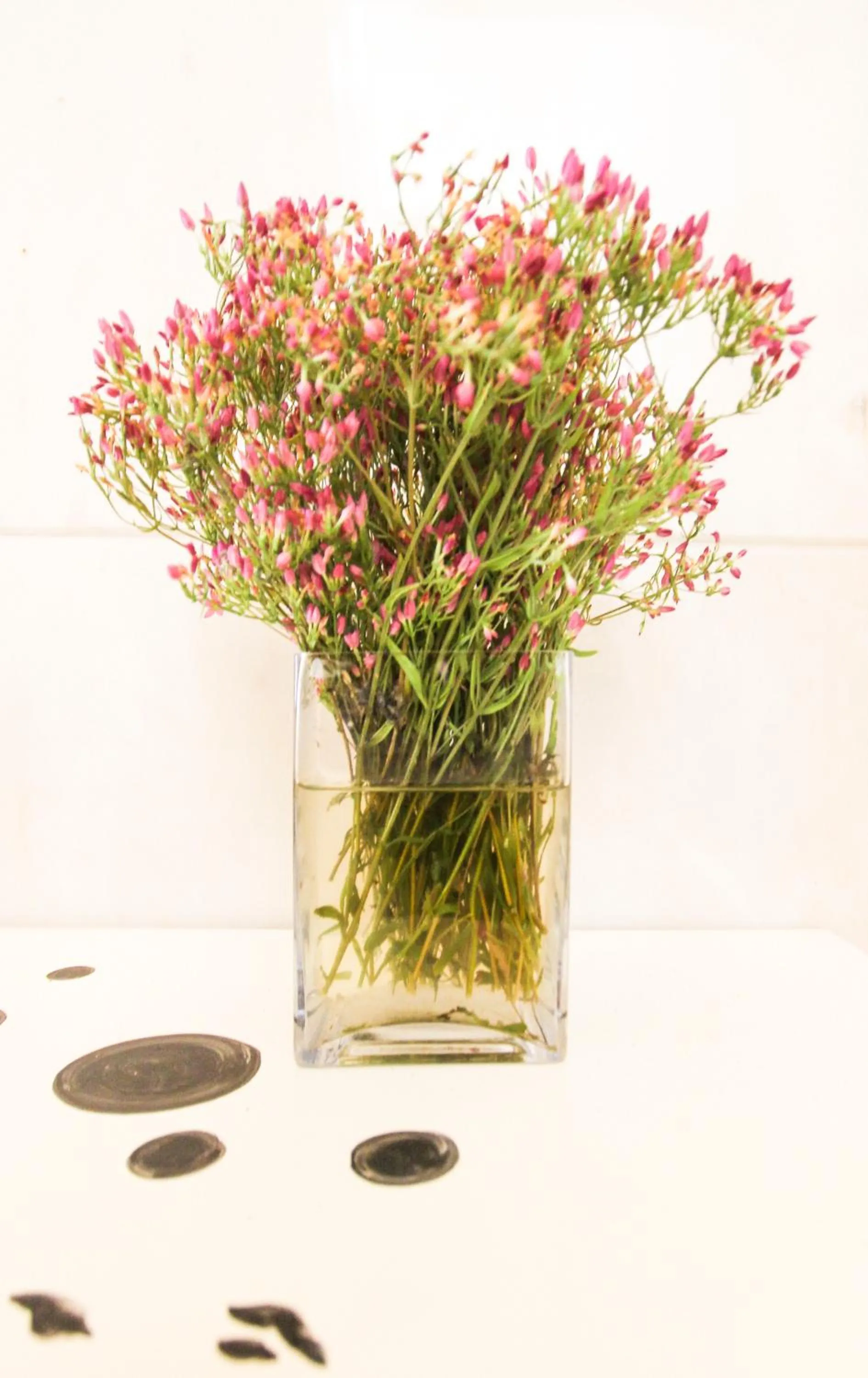 Decorative detail in Evora Inn