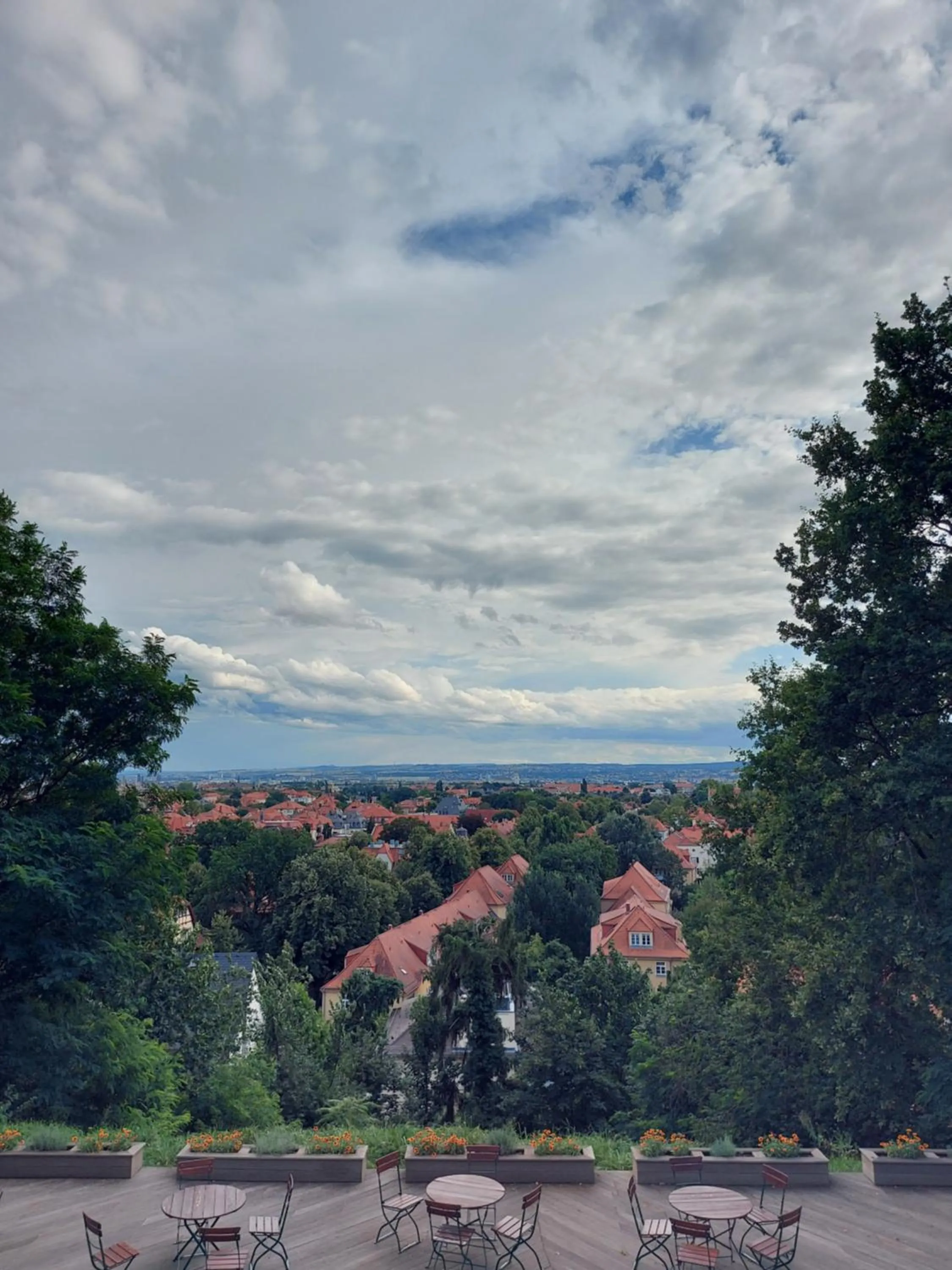 Restaurant/places to eat in Bergwirtschaft Wilder Mann Hotel und Restaurant