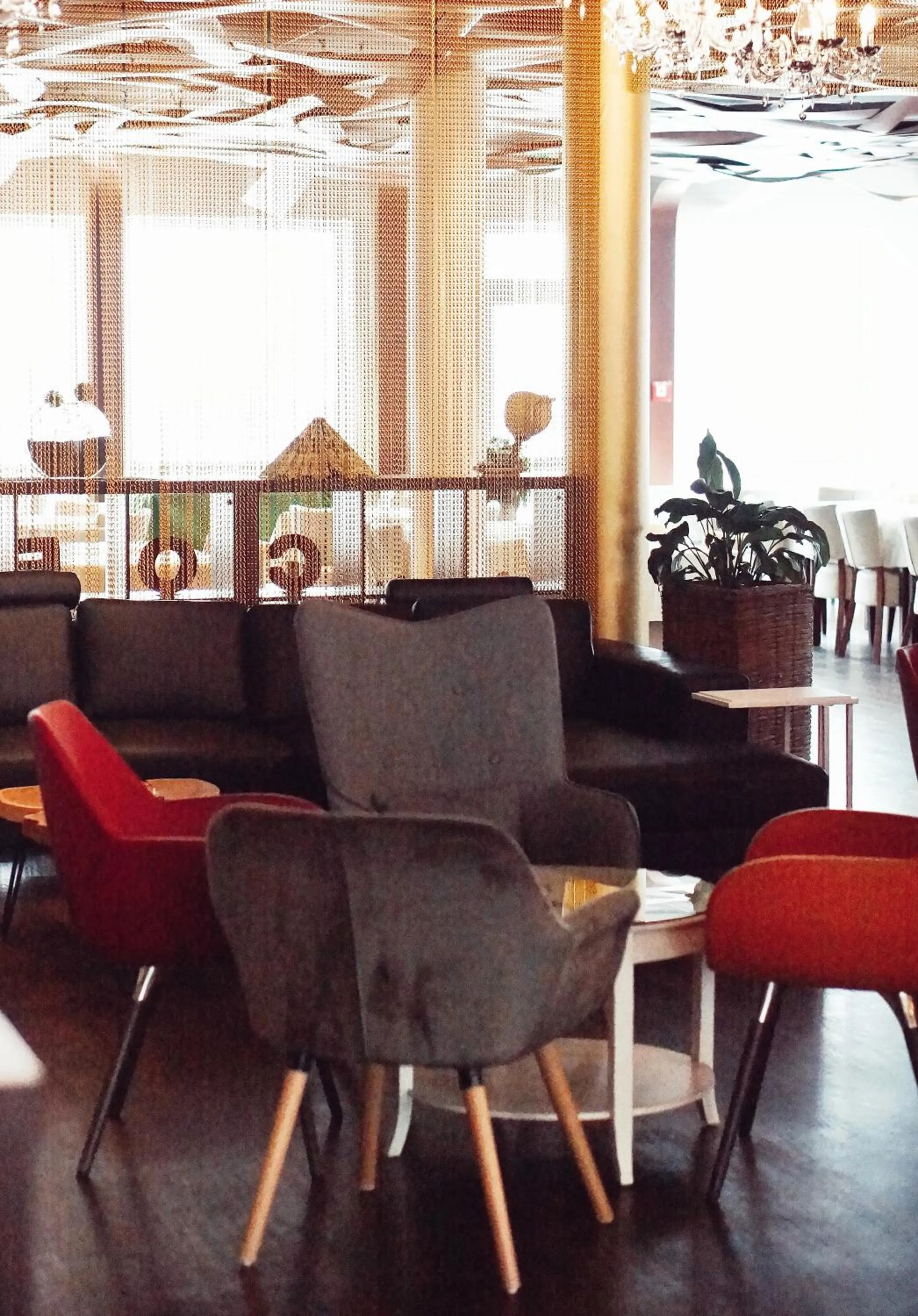 Restaurant/places to eat in Bergwirtschaft Wilder Mann Hotel und Restaurant