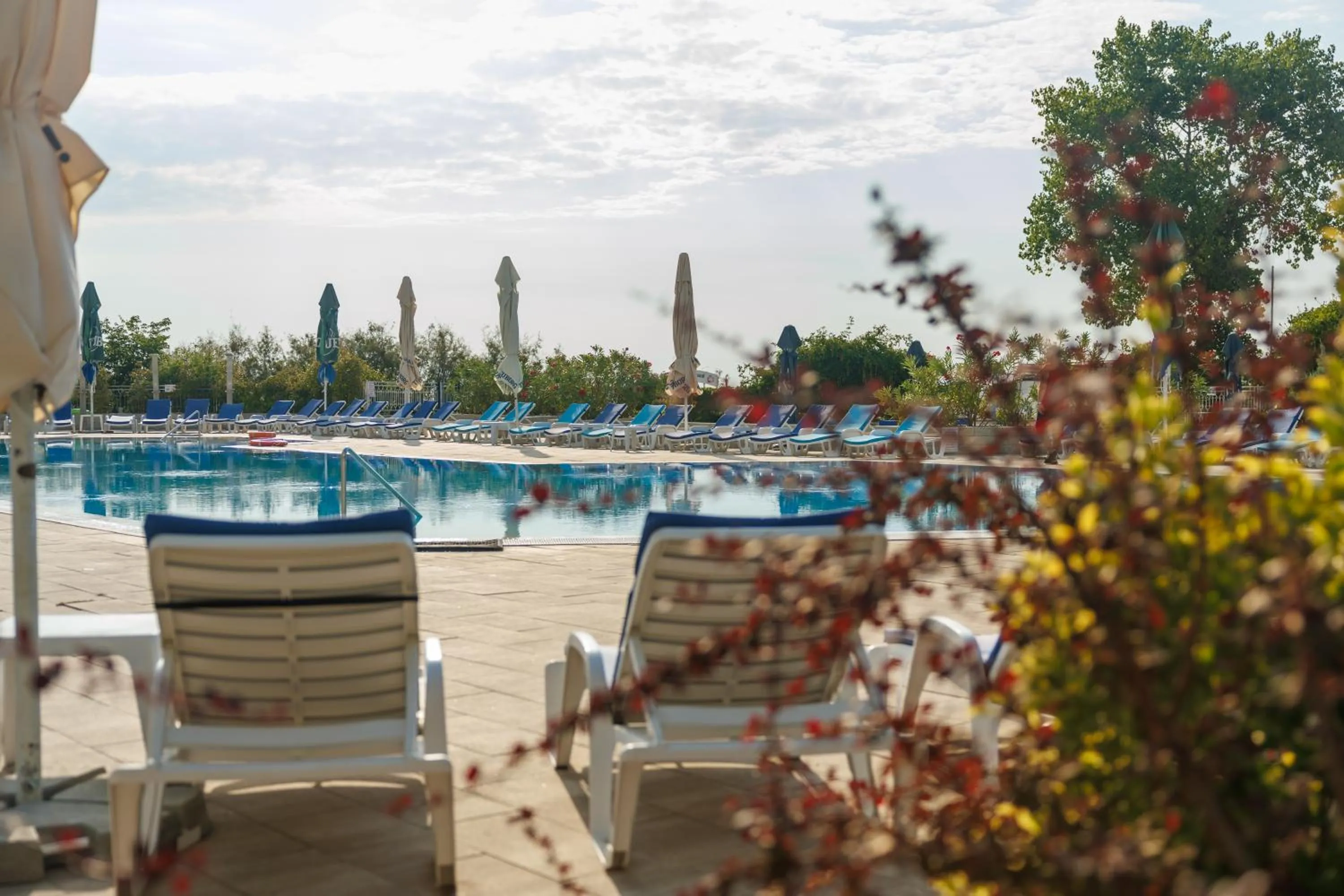 Garden in Hotel Orfeu