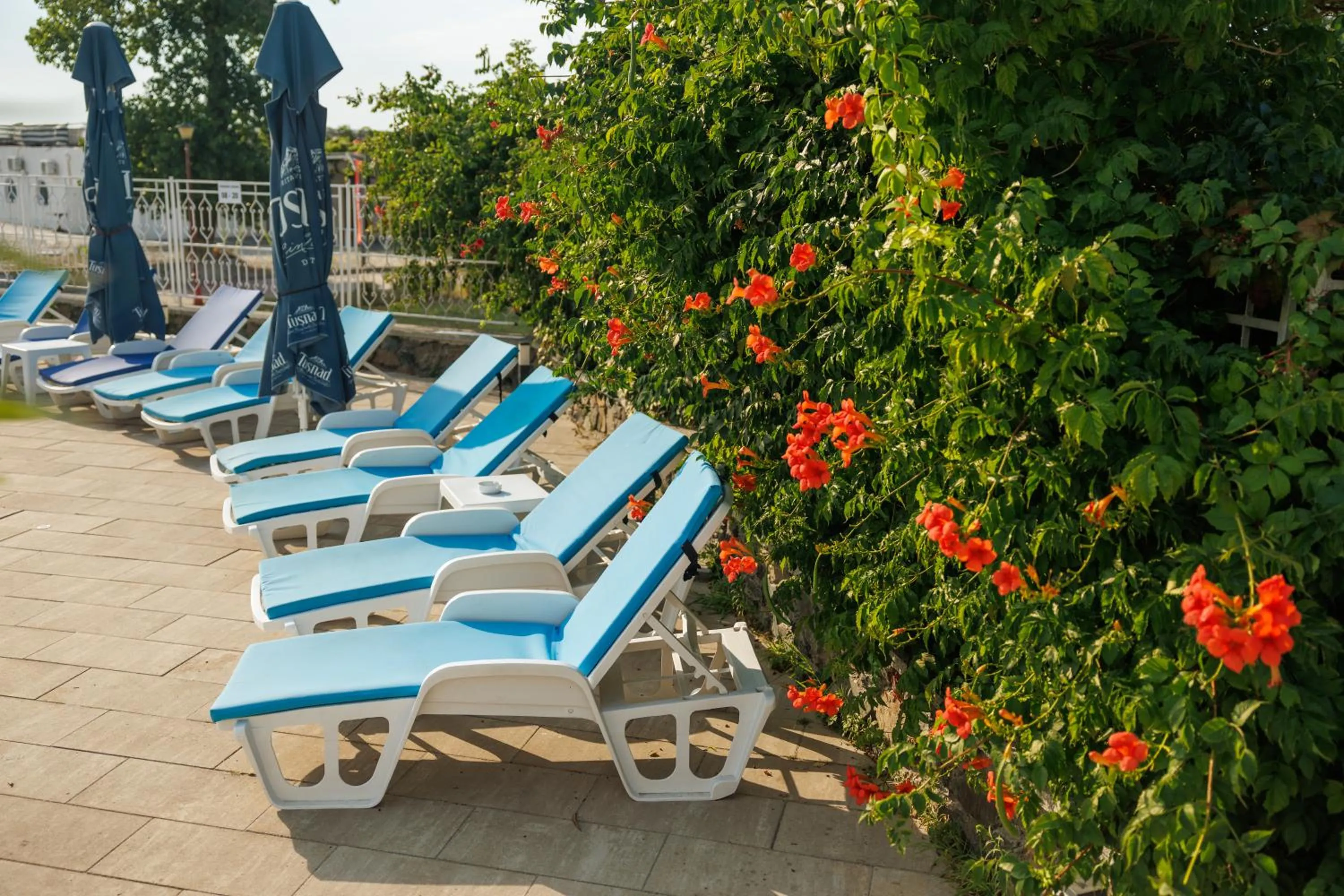 Garden in Hotel Orfeu