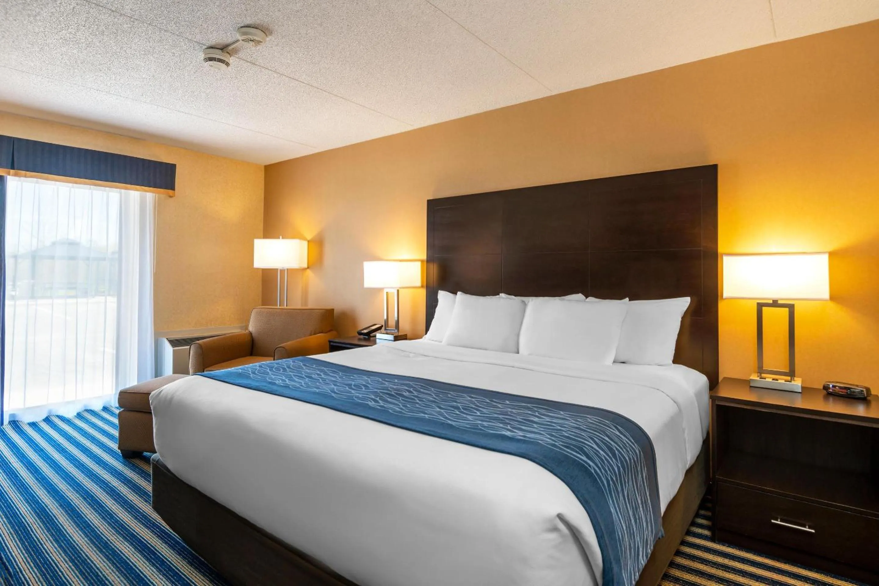Bedroom, Bed in Comfort Inn