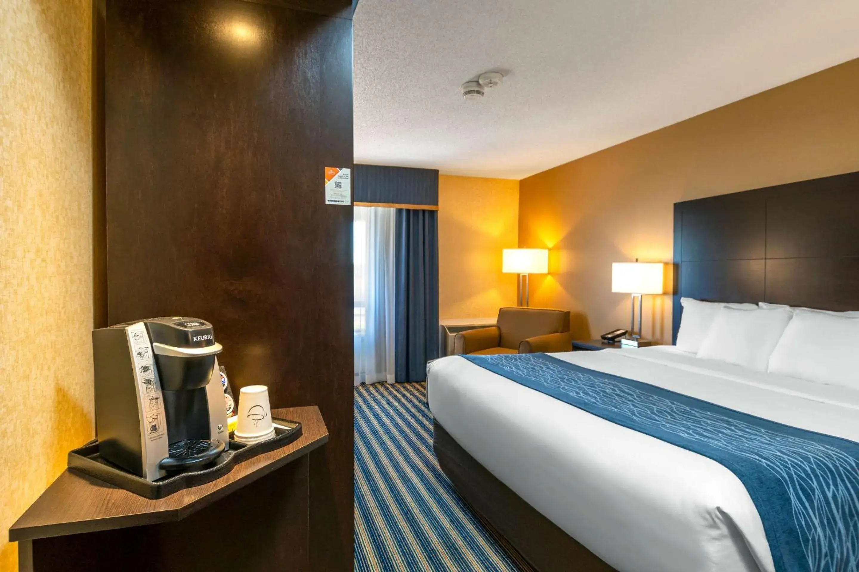 Bedroom, Bed in Comfort Inn Bedroom, Bed in Comfort Inn