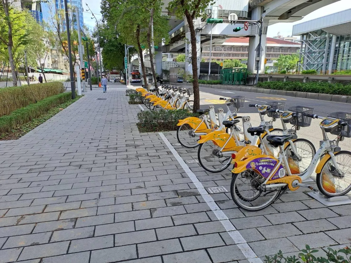 Cycling in Old Door Hostel & Bar