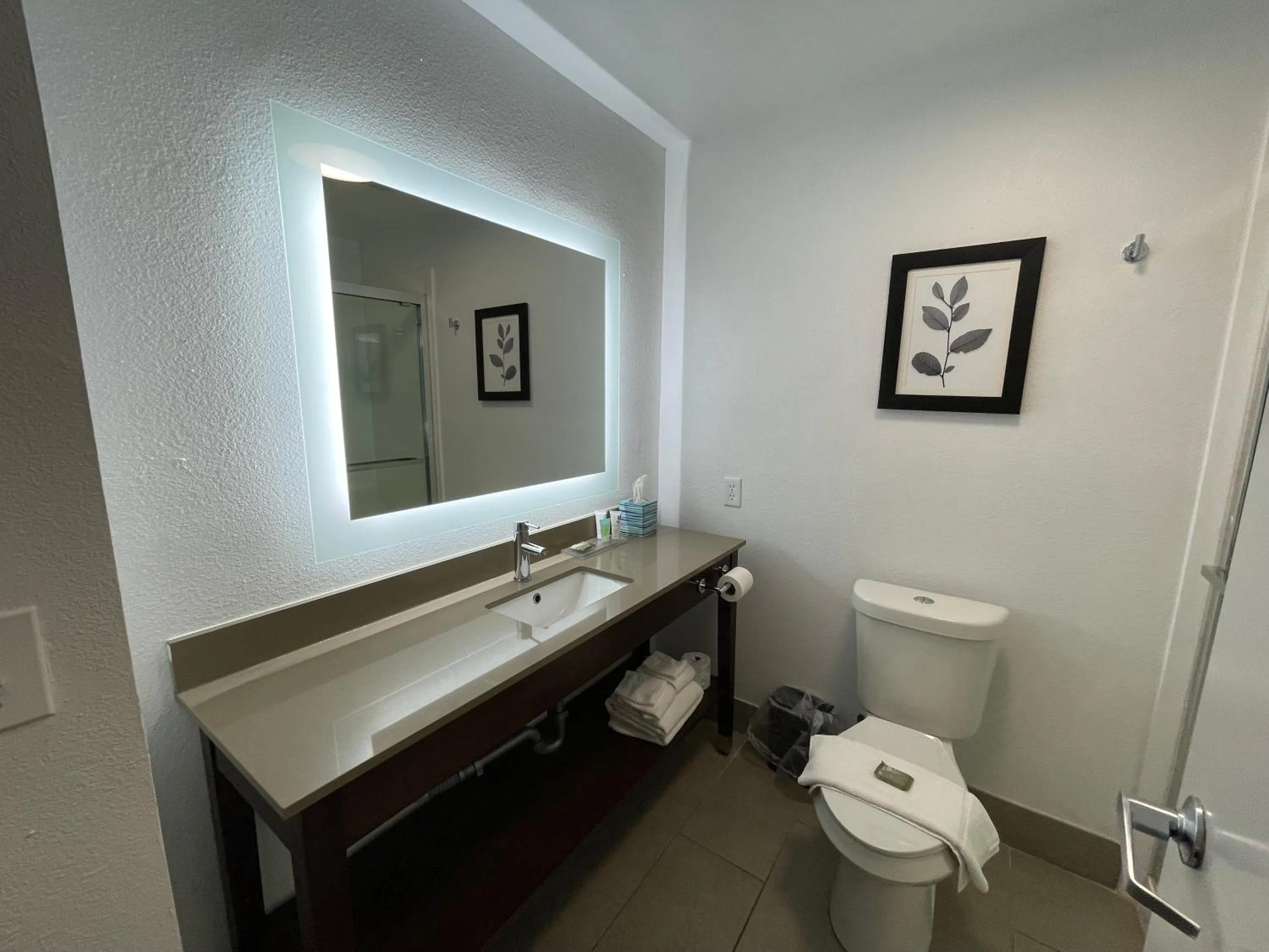 Bathroom in Country Inn & Suites by Radisson, Midway - Tallahassee West