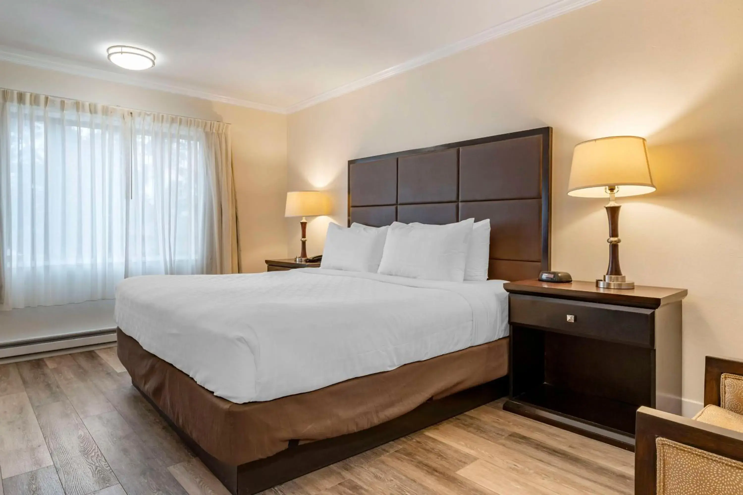 Bedroom, Bed in Best Western Carmel's Town House Lodge Bedroom, Bed in Best Western Carmel's Town House Lodge