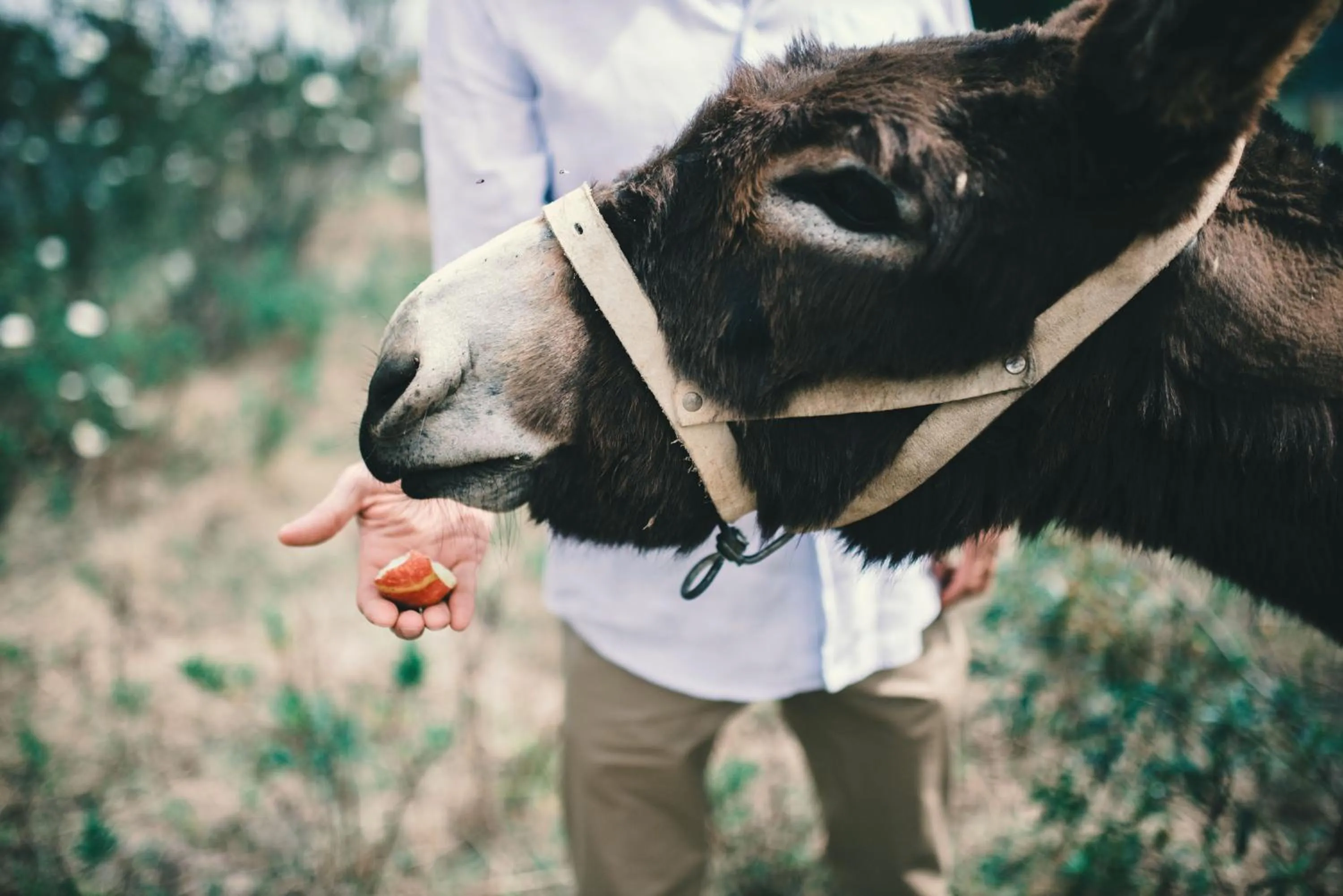 Craveiral Farmhouse by Belong Staying & Feeling