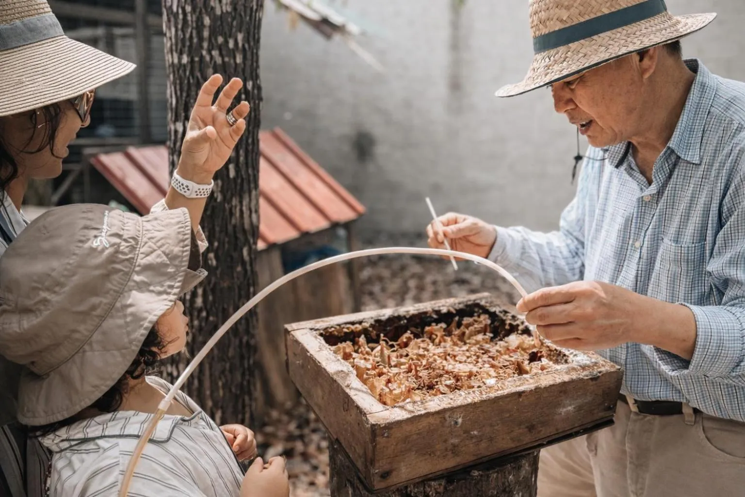 Activities in Frangipani Langkawi Resort