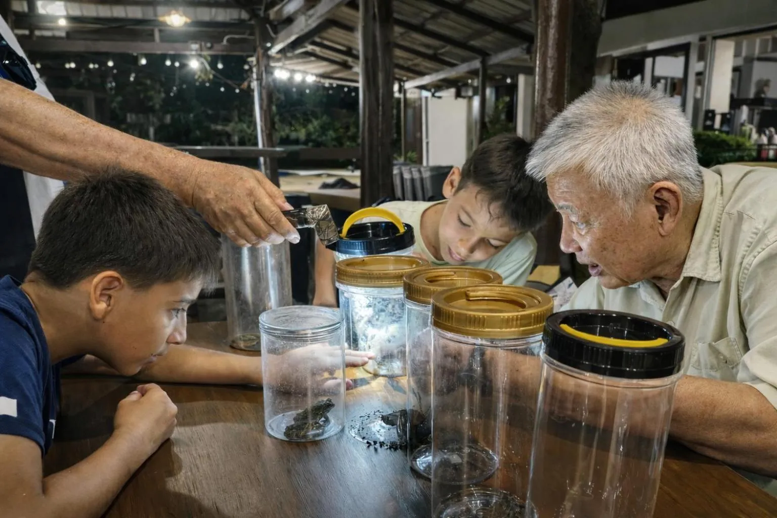 Activities in Frangipani Langkawi Resort