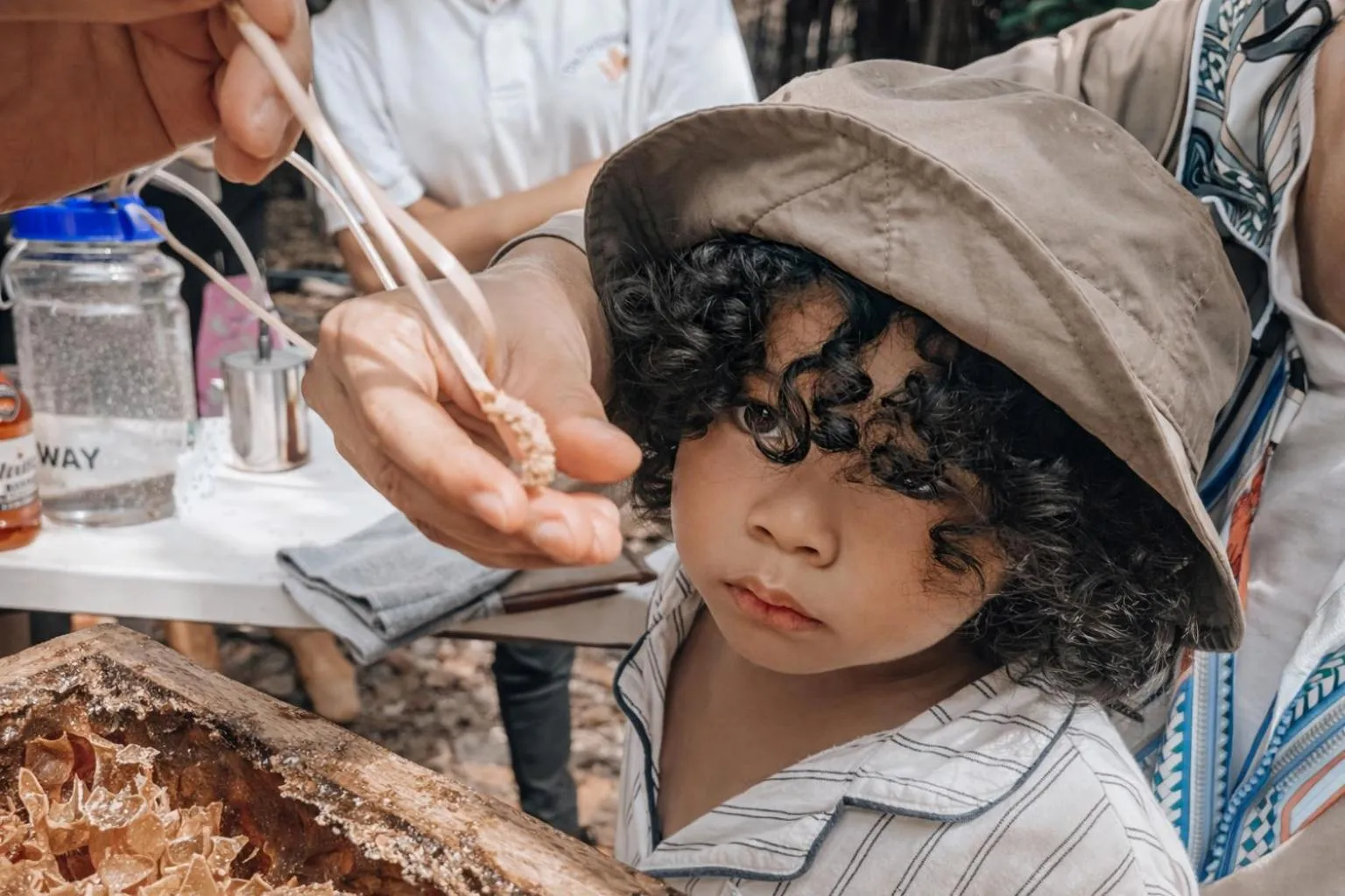 Activities in Frangipani Langkawi Resort