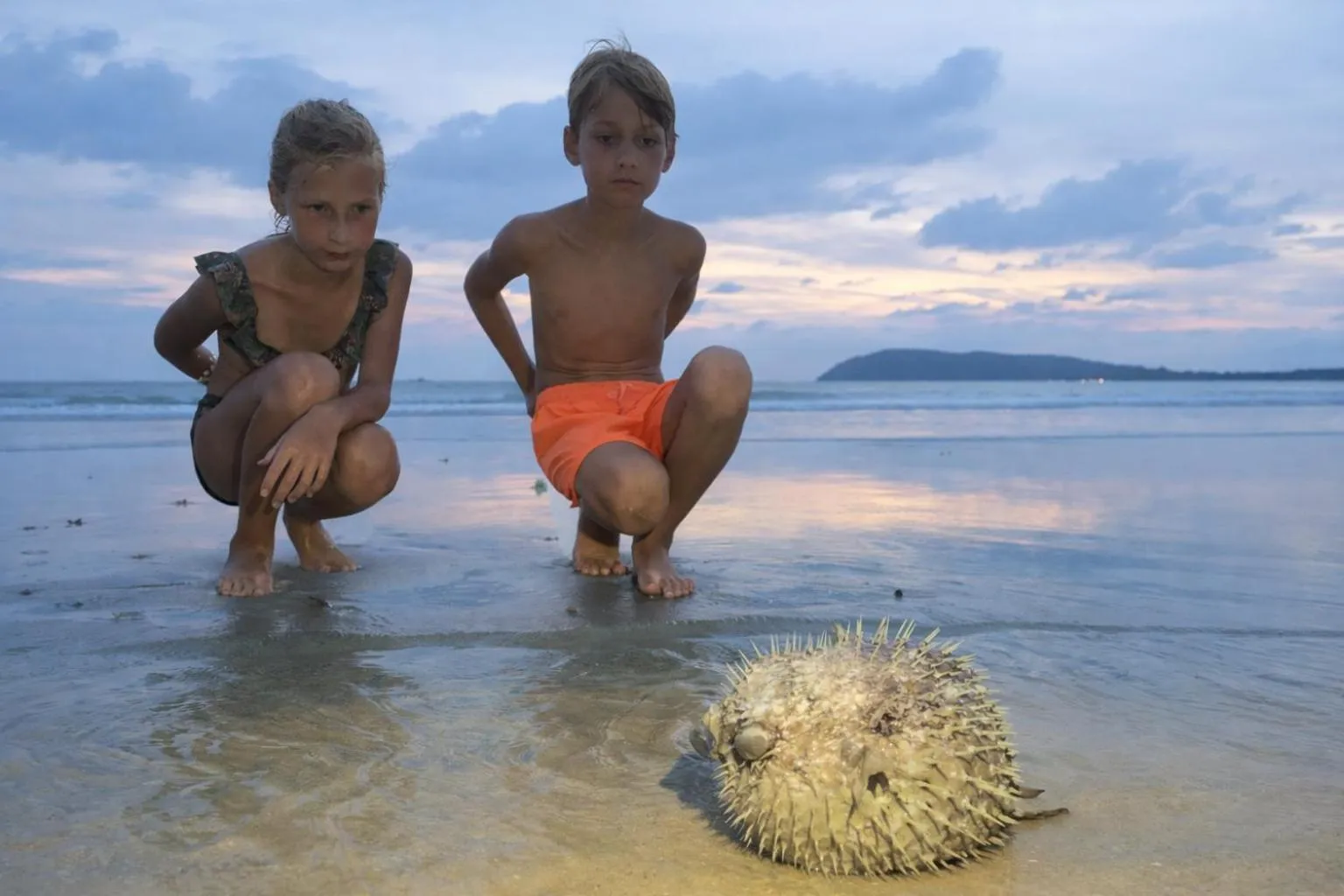 Activities in Frangipani Langkawi Resort