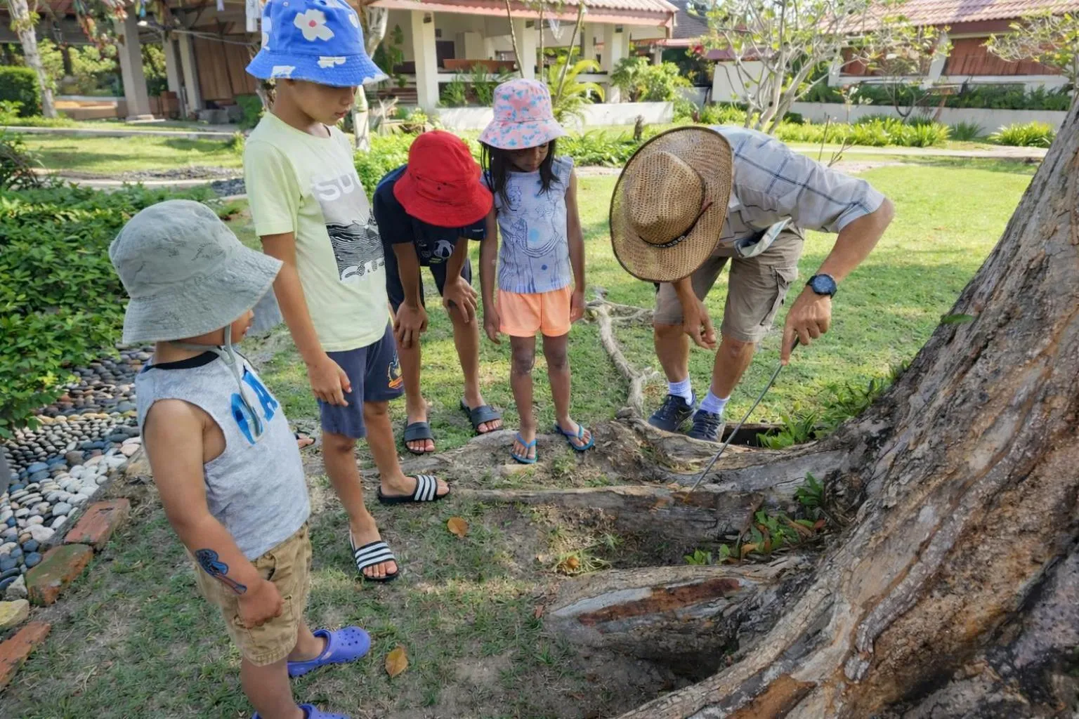Activities in Frangipani Langkawi Resort