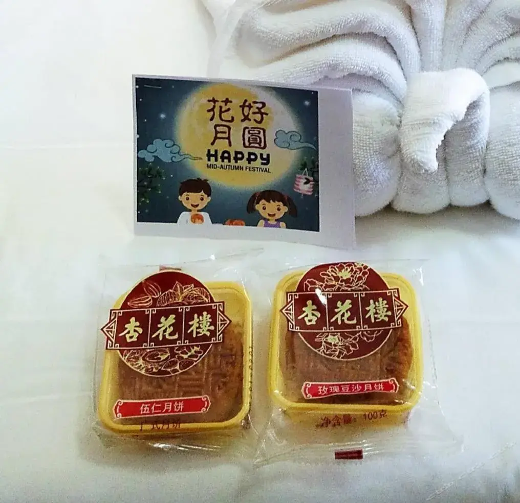 Standard Twin Room in Central Vienna Hotel Standard Twin Room in Central Vienna Hotel