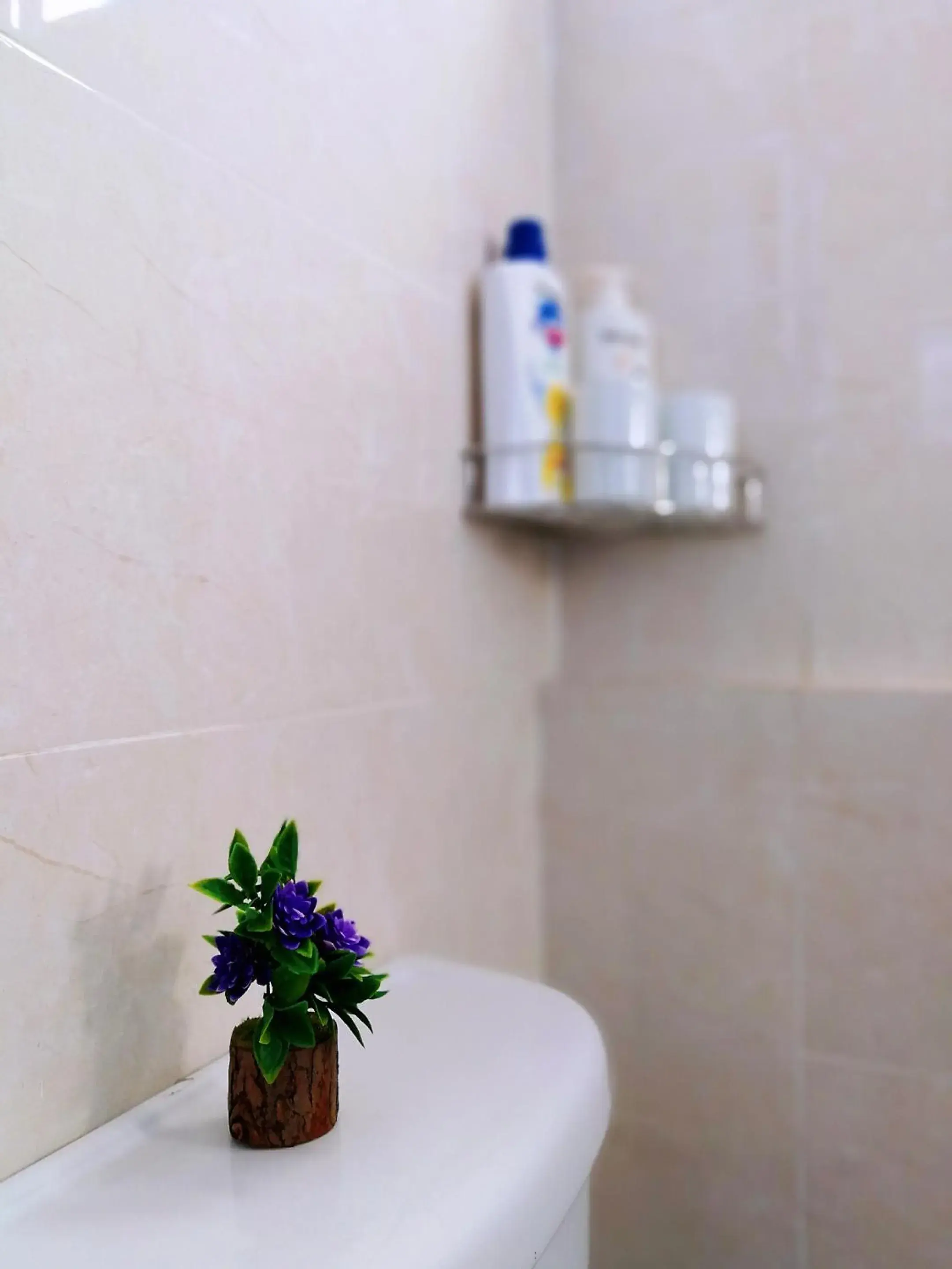 Standard Twin Room in Central Vienna Hotel Standard Twin Room in Central Vienna Hotel