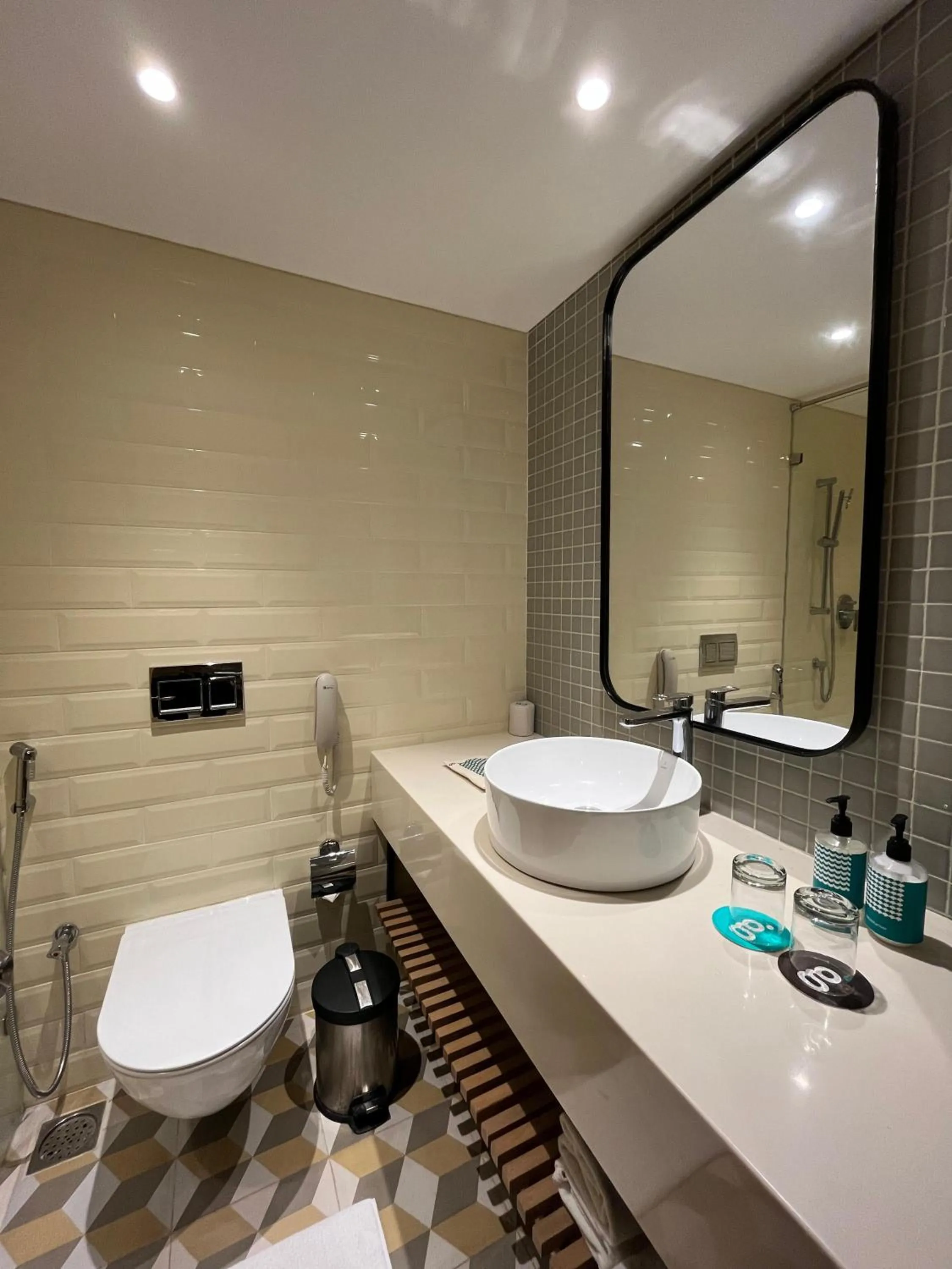 Toilet in Greenpark Hyderabad