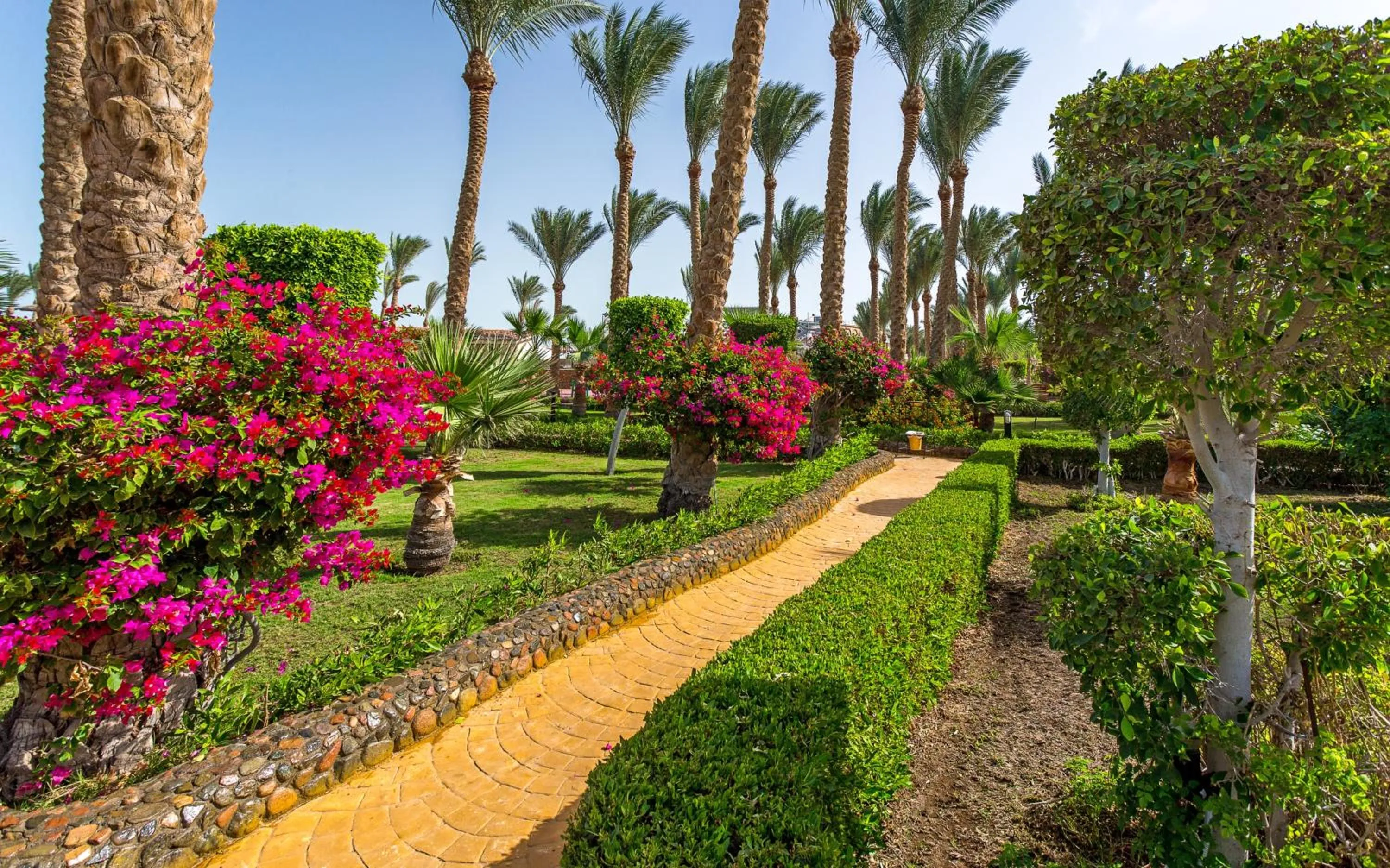 Natural landscape in Hawaii Riviera Aqua Park Resort - Families and Couples Only