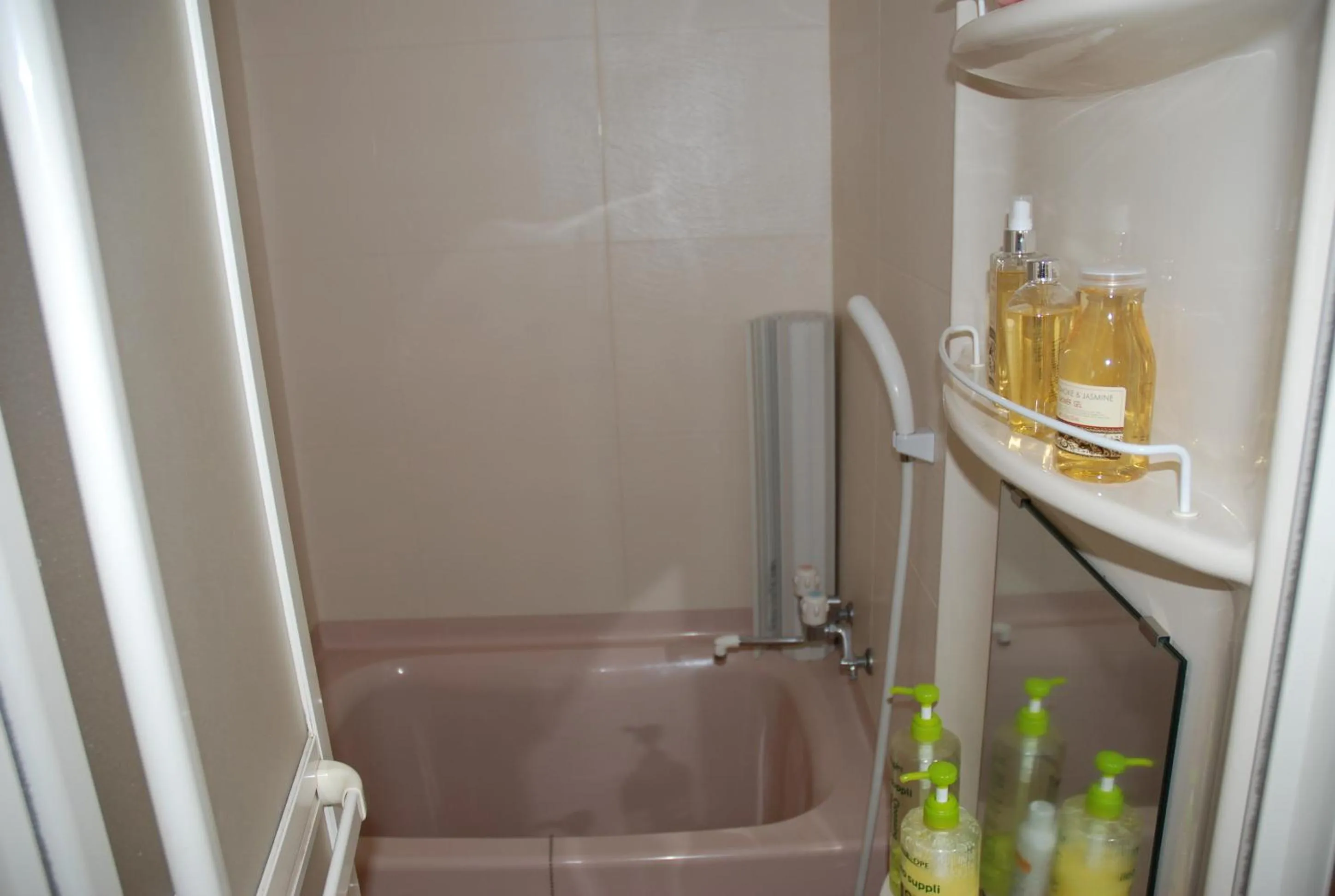 Bathroom in Pension Fryingpan