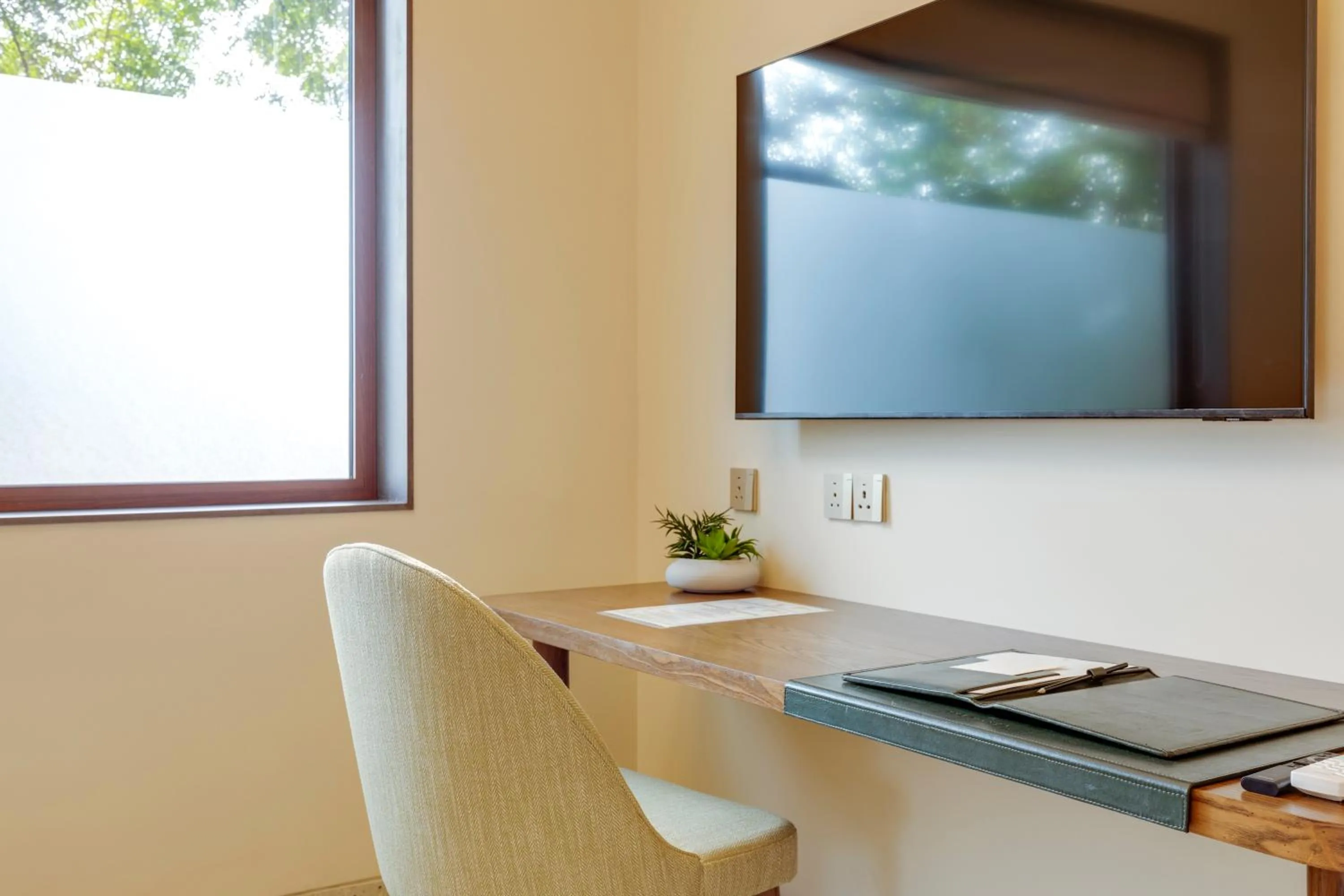 TV and multimedia in The Manor - New Delhi