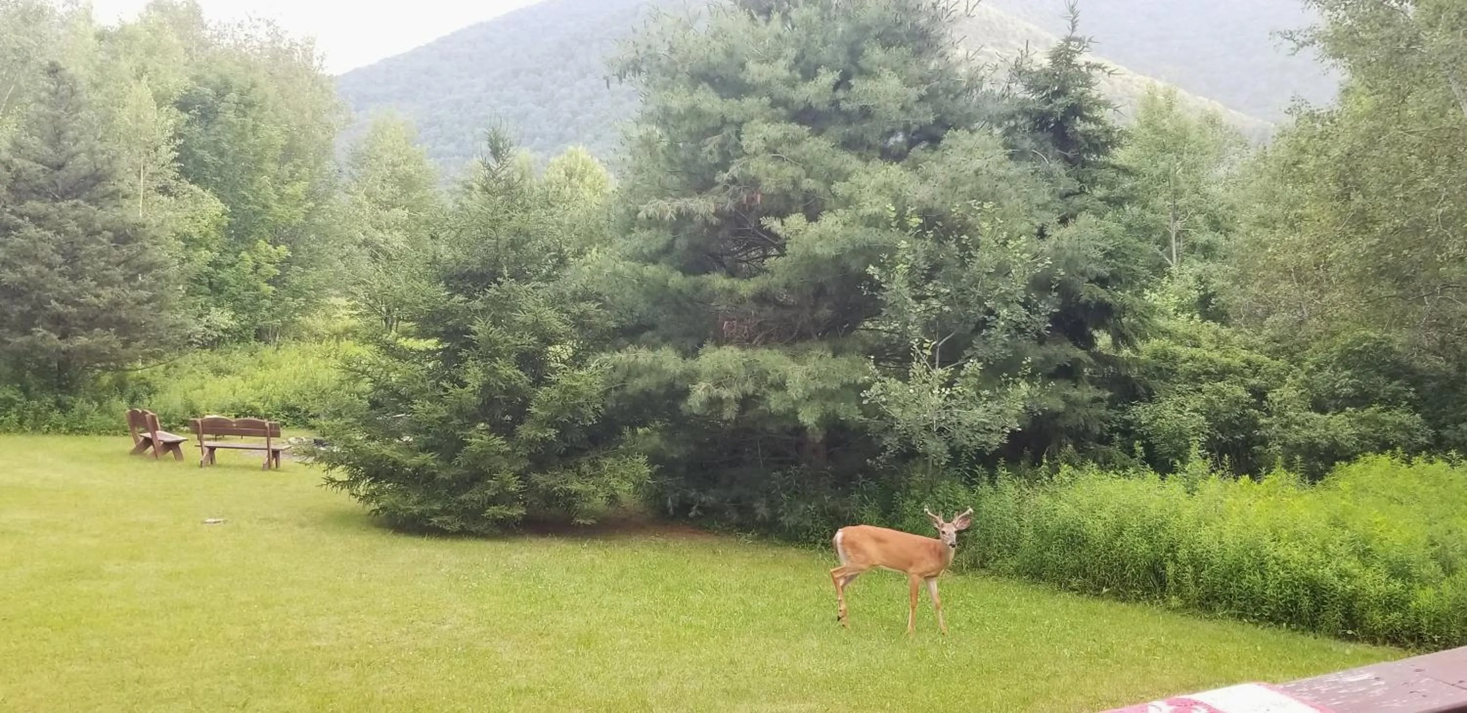Hunter Mt Amazing Views Catskills! 5 Bedrooms! Best Choice!