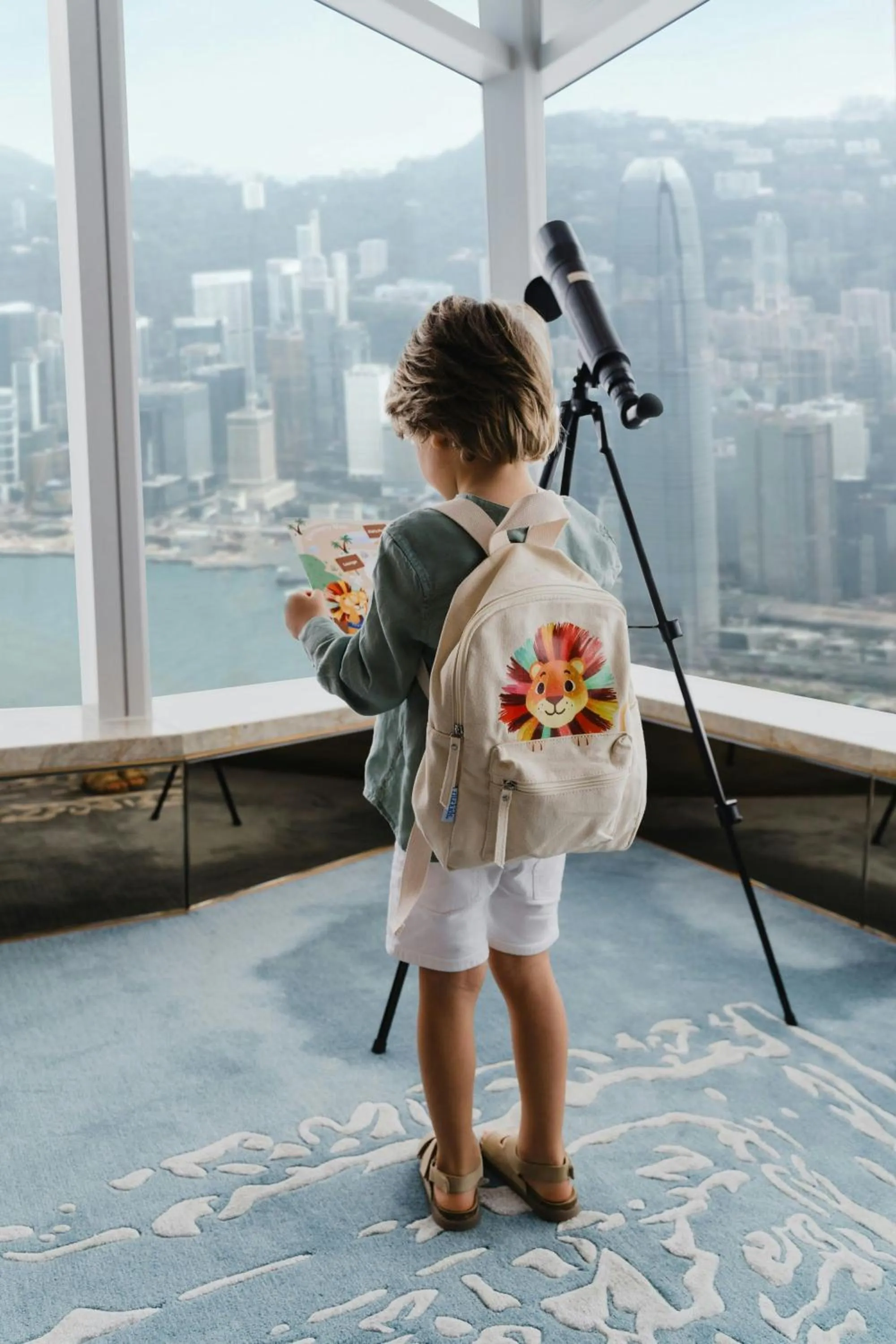 Other in The Ritz-Carlton, Hong Kong