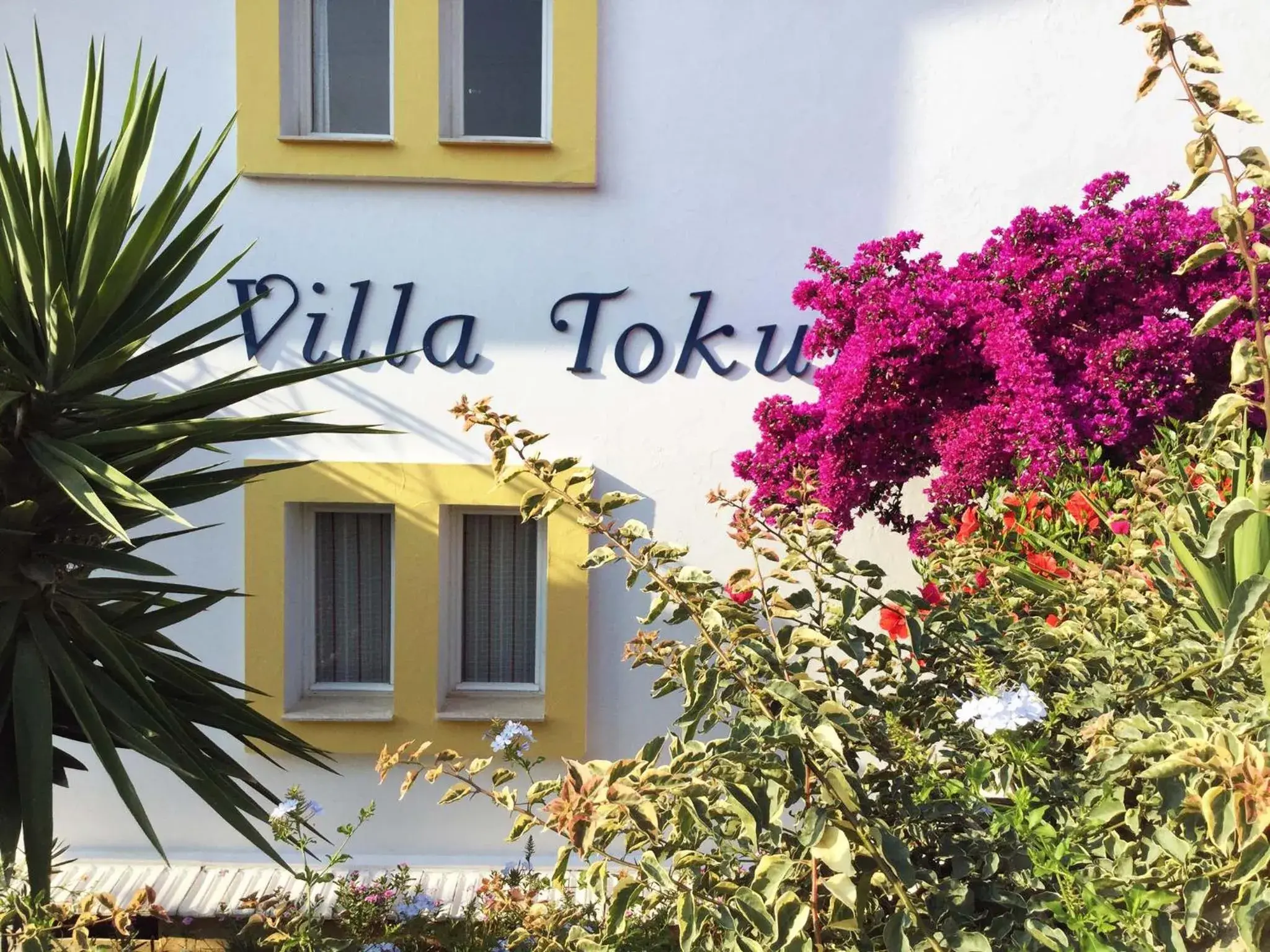 Hotel Villa Tokur Hotel Villa Tokur