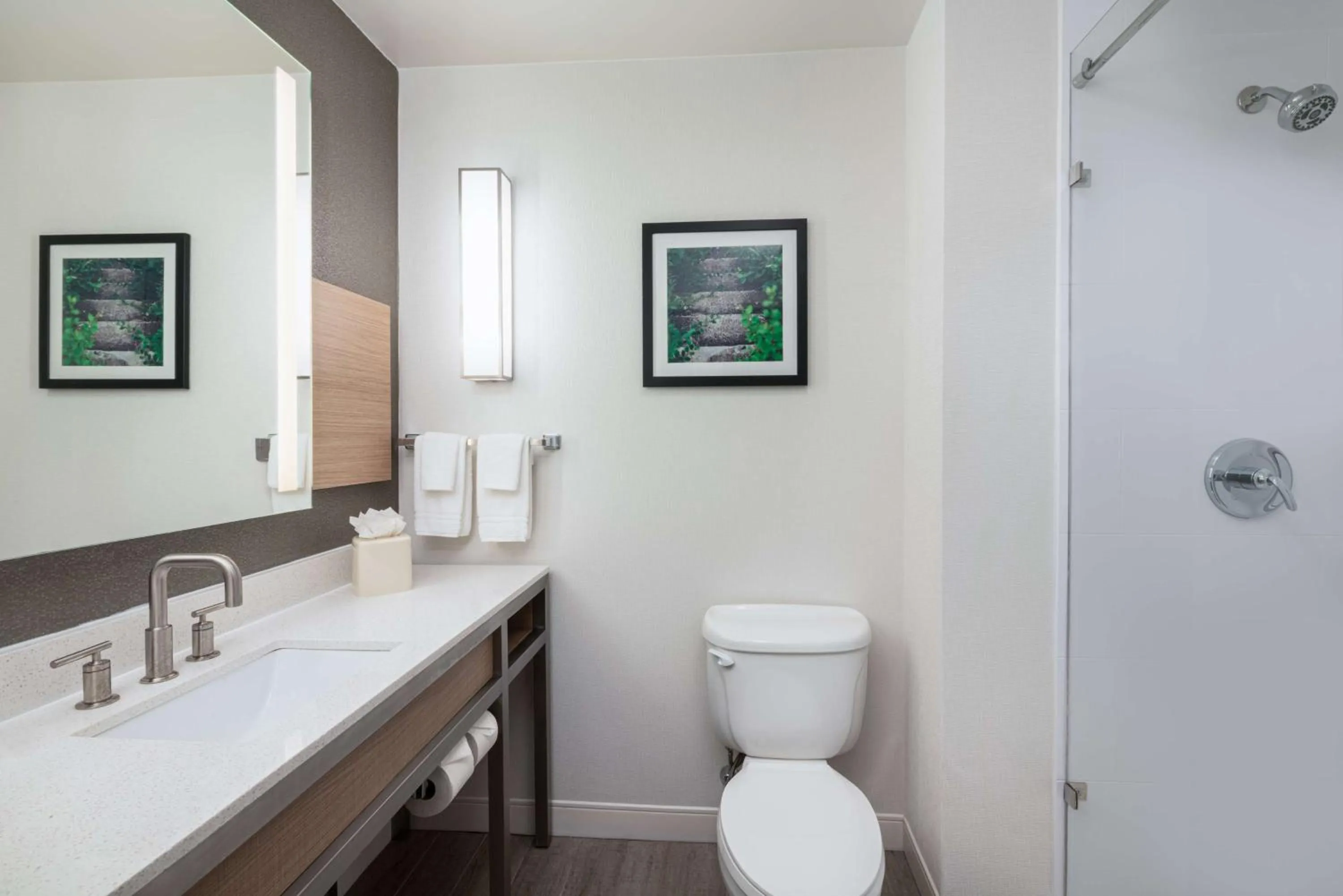 Bathroom in Hilton Garden Inn Saint Charles