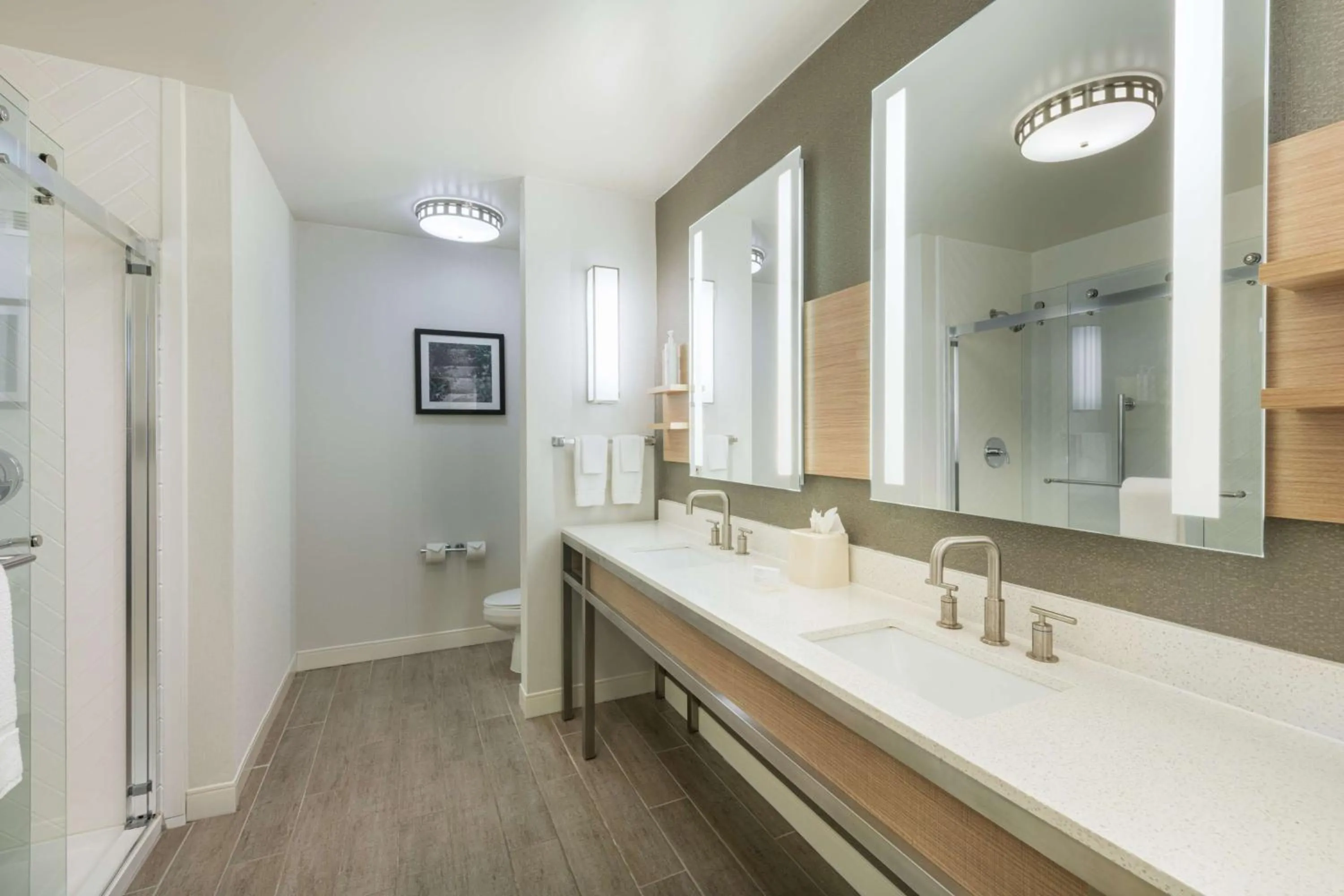 Bathroom in Hilton Garden Inn Saint Charles