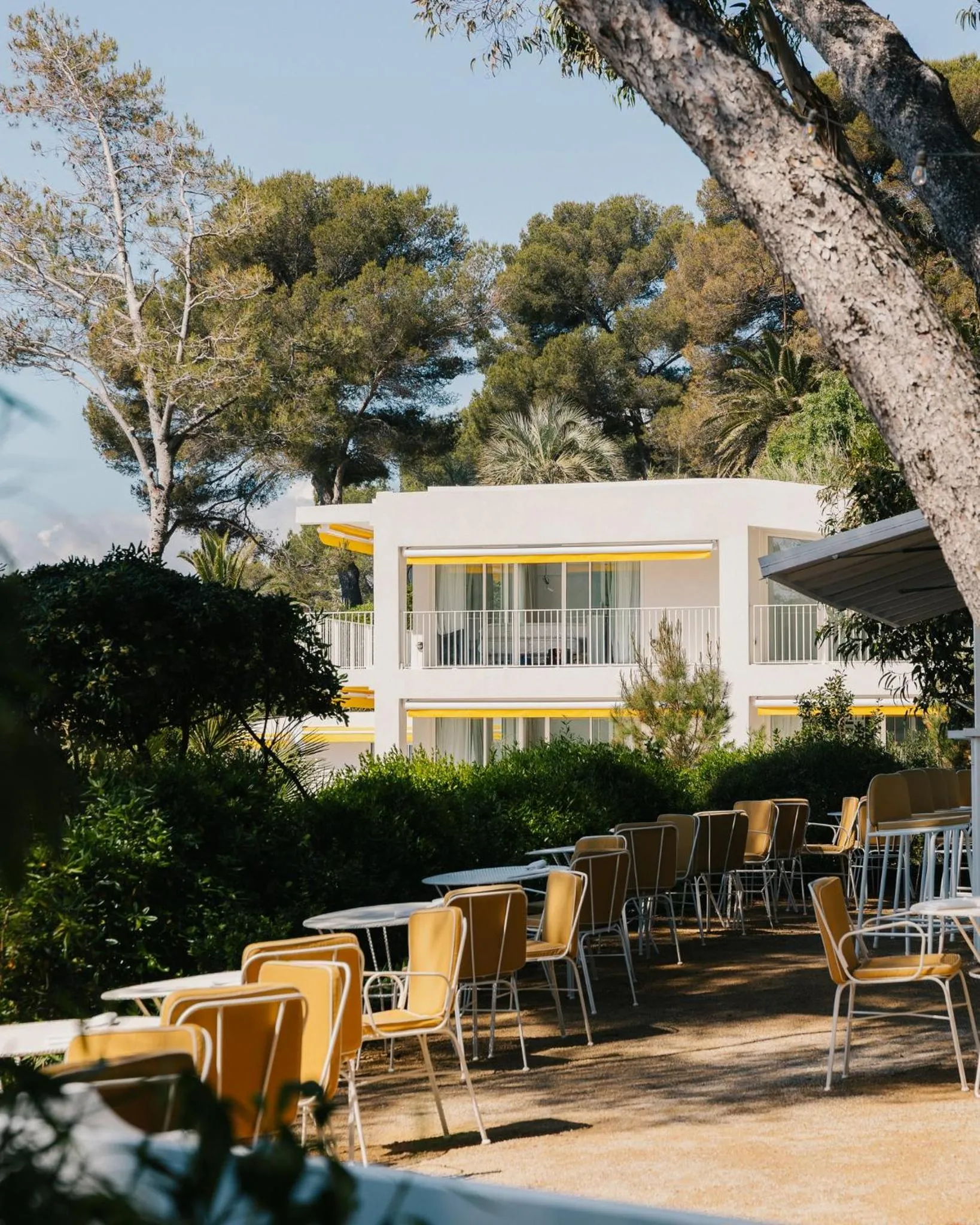 Restaurant/places to eat in Les Roches Rouges, a Beaumier hotel