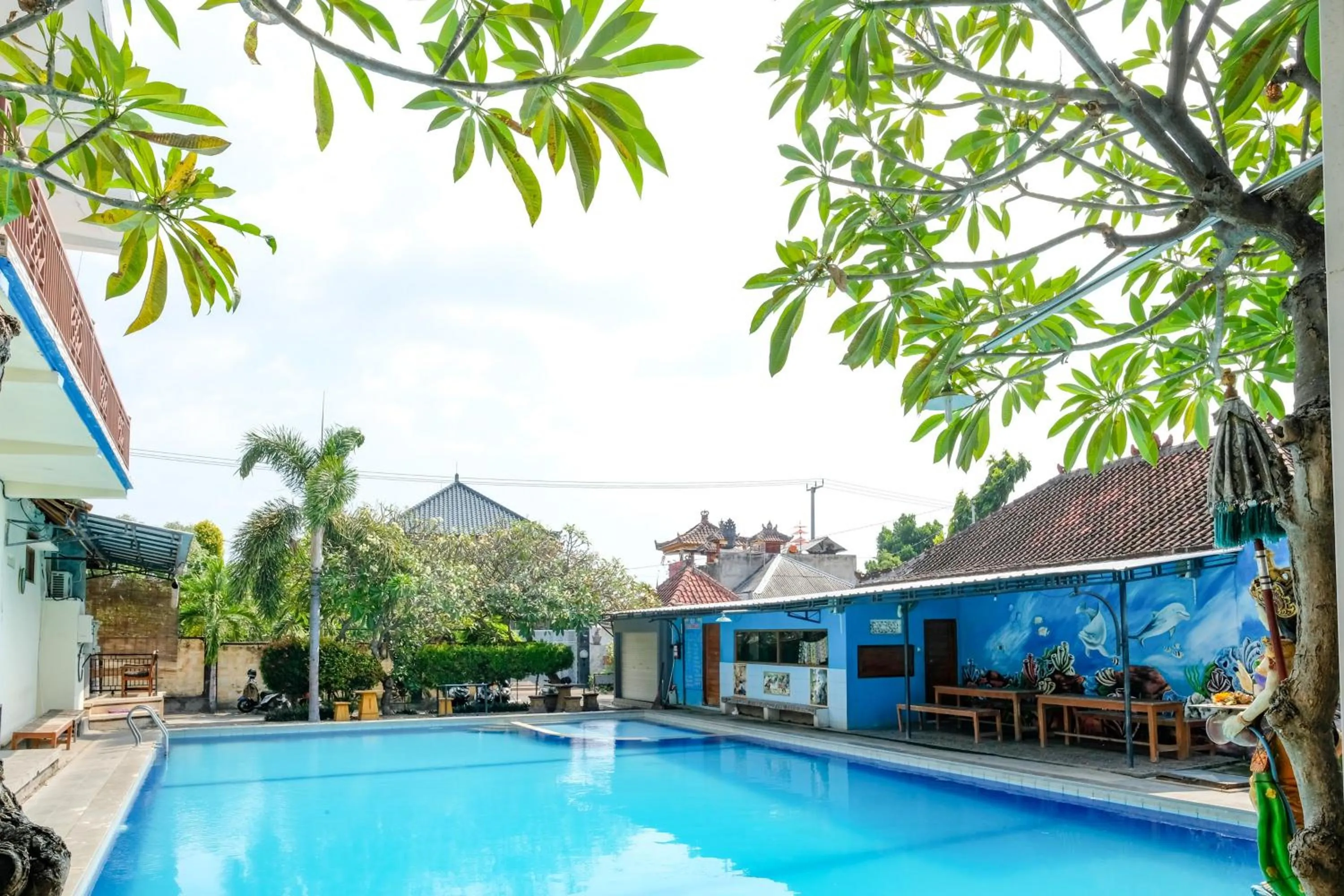 Swimming pool in RedDoorz Plus @ Singaraja