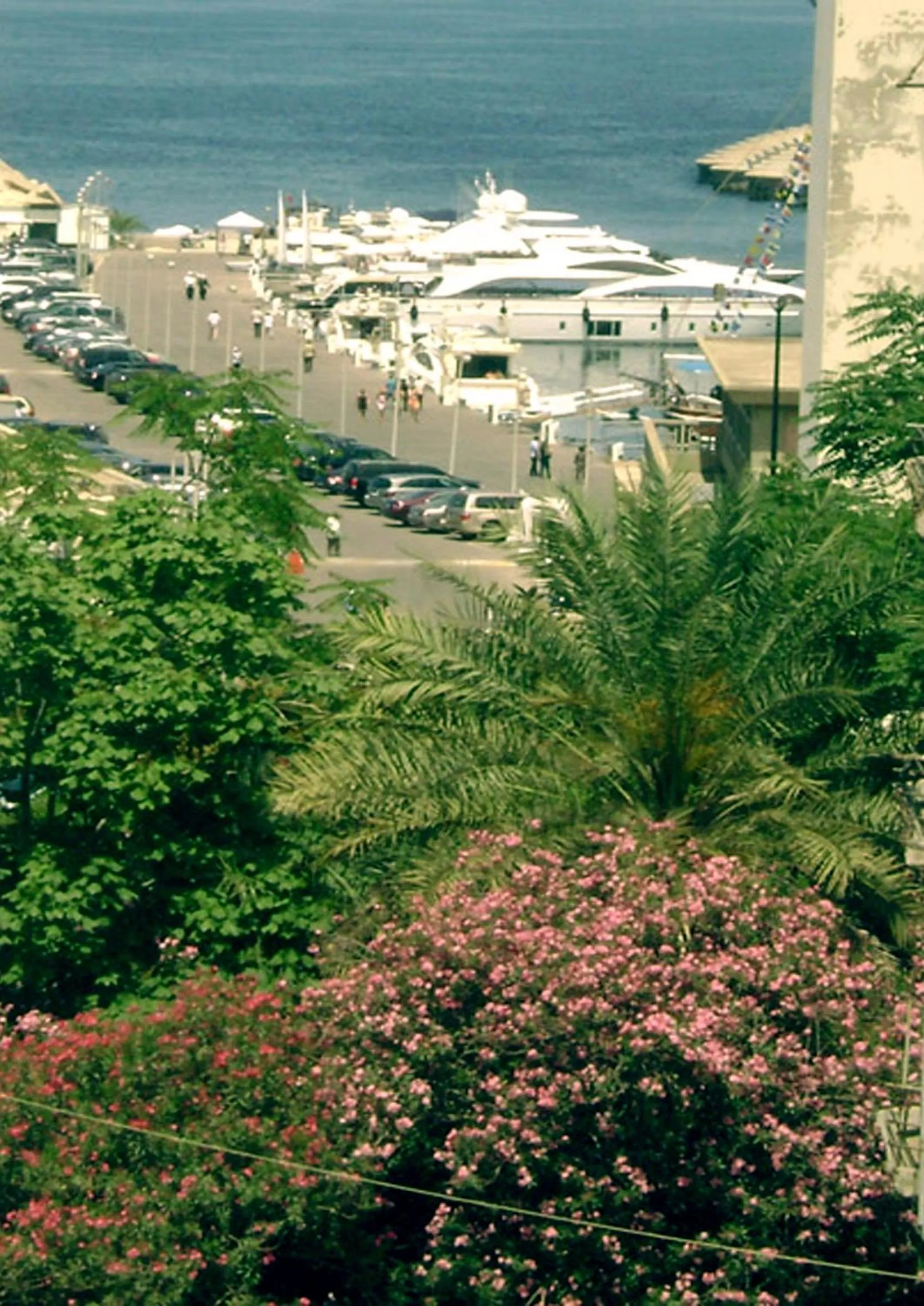 Spring in Regis Hotel