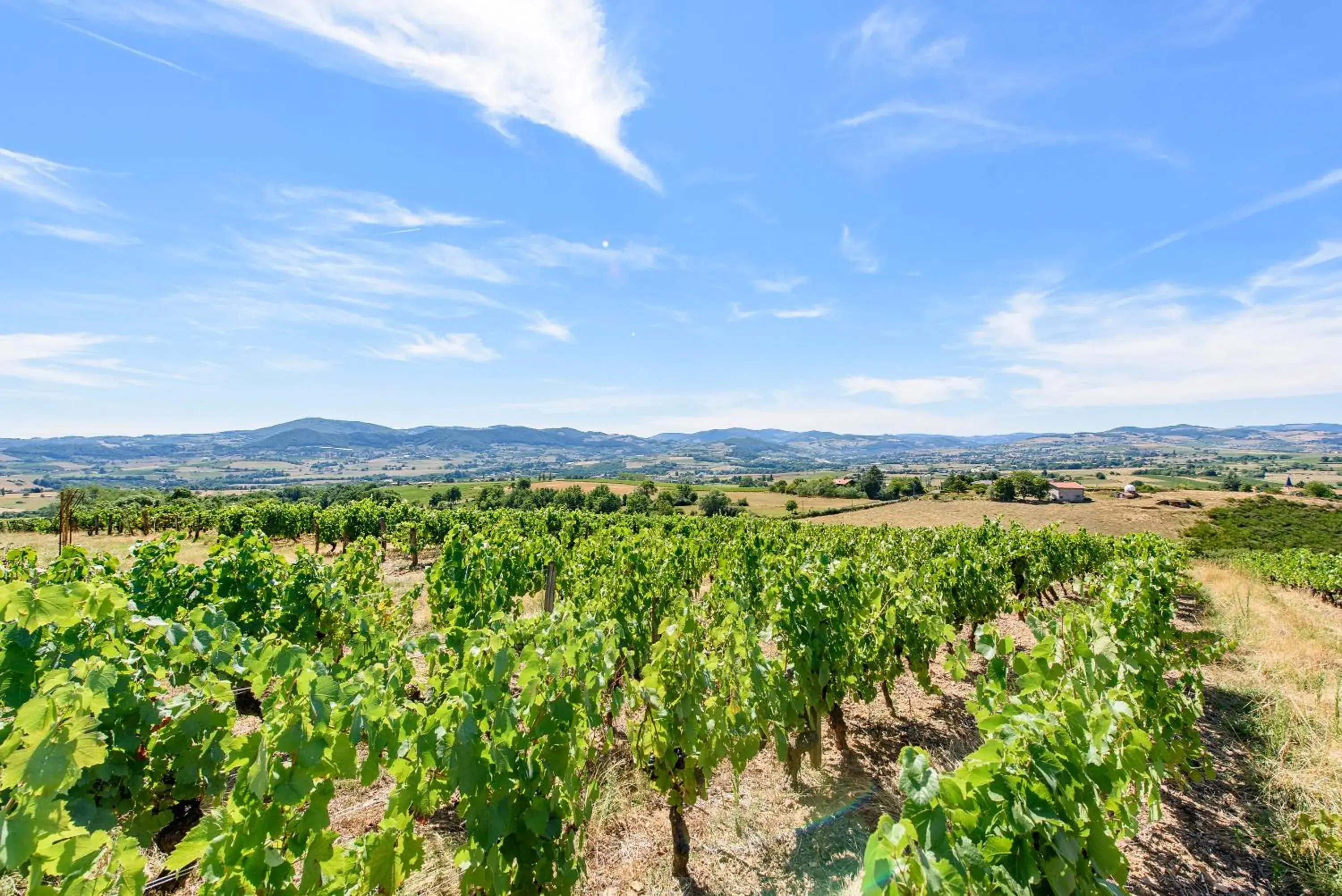 Property building in Hotel Le Chatard Property building in Hotel Le Chatard