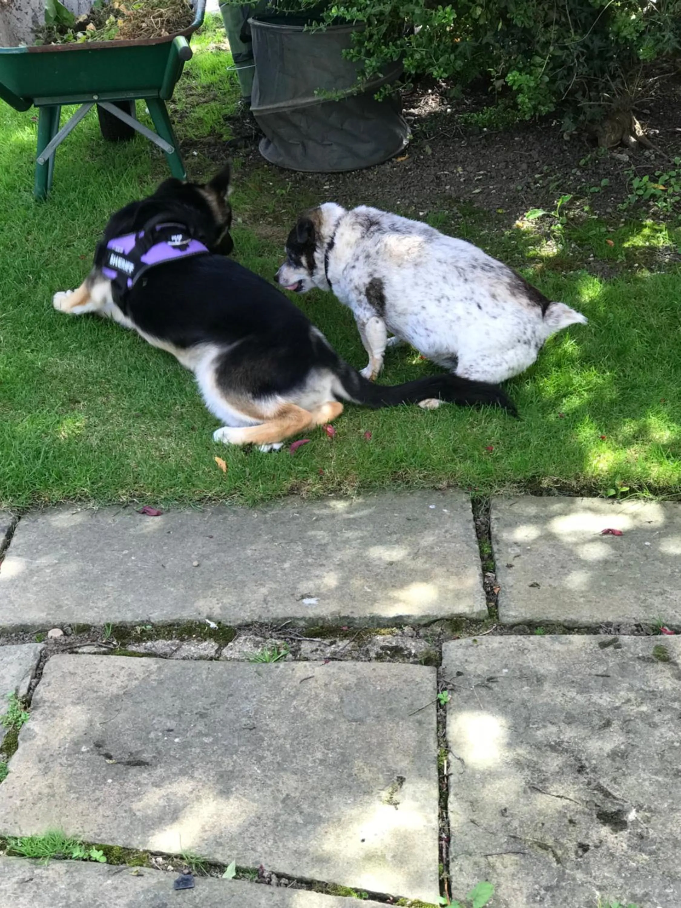 Acorn Guest House in Hull