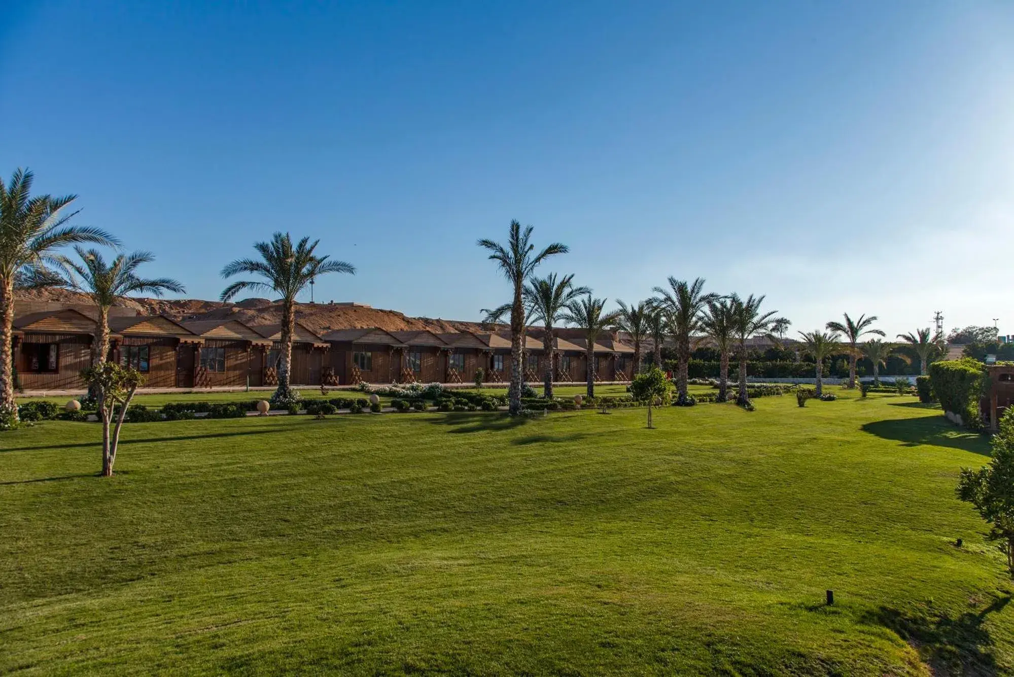 Garden view in Xperience Golden Sandy Beach Garden view in Xperience Golden Sandy Beach