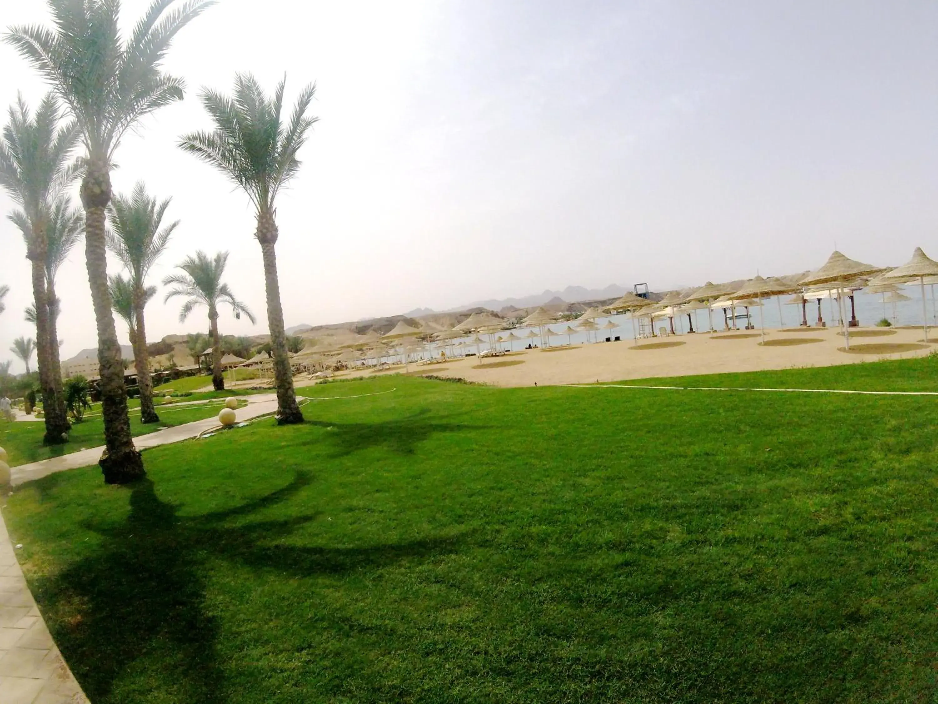 Garden view in Xperience Golden Sandy Beach Garden view in Xperience Golden Sandy Beach
