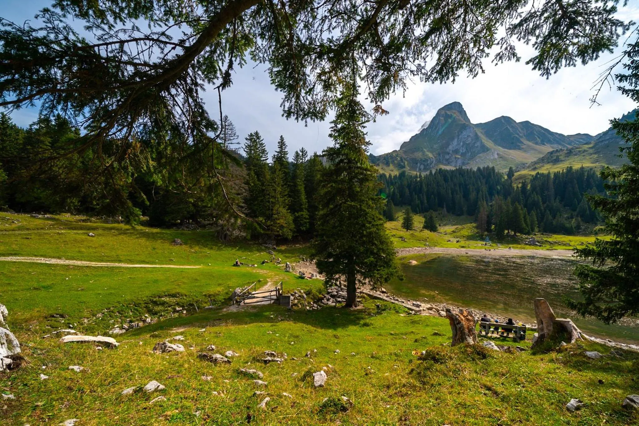 Natural landscape in Hotel Sonne - Self Check-in