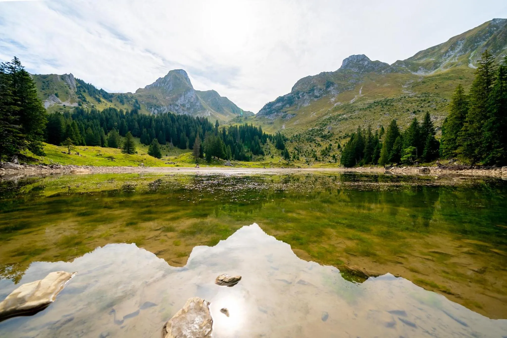 Natural landscape in Hotel Sonne - Self Check-in