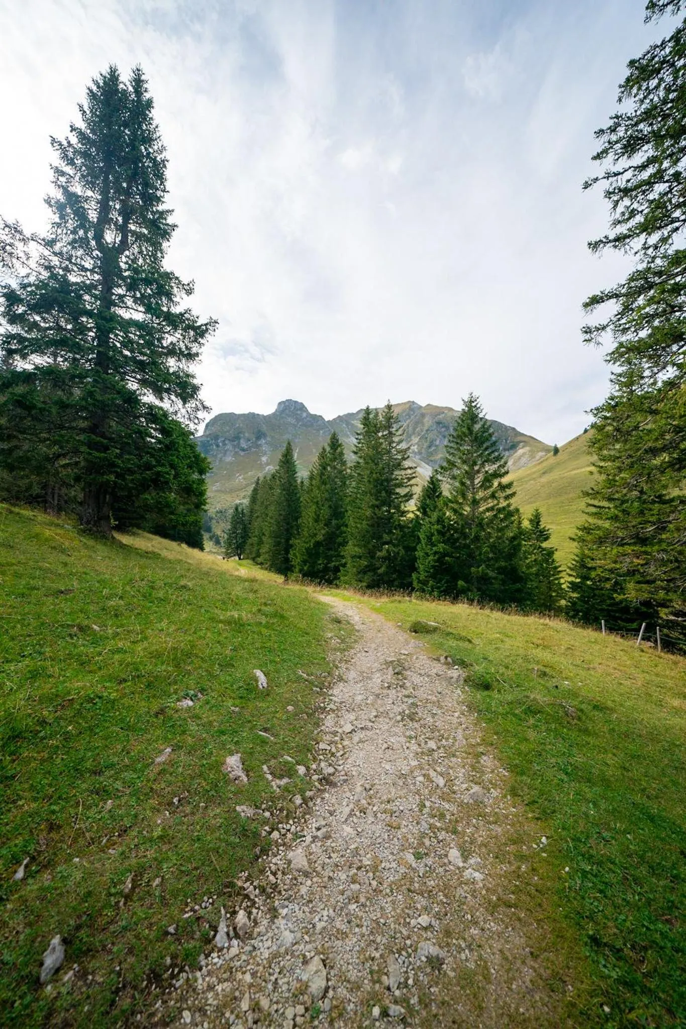 Natural landscape in Hotel Sonne - Self Check-in